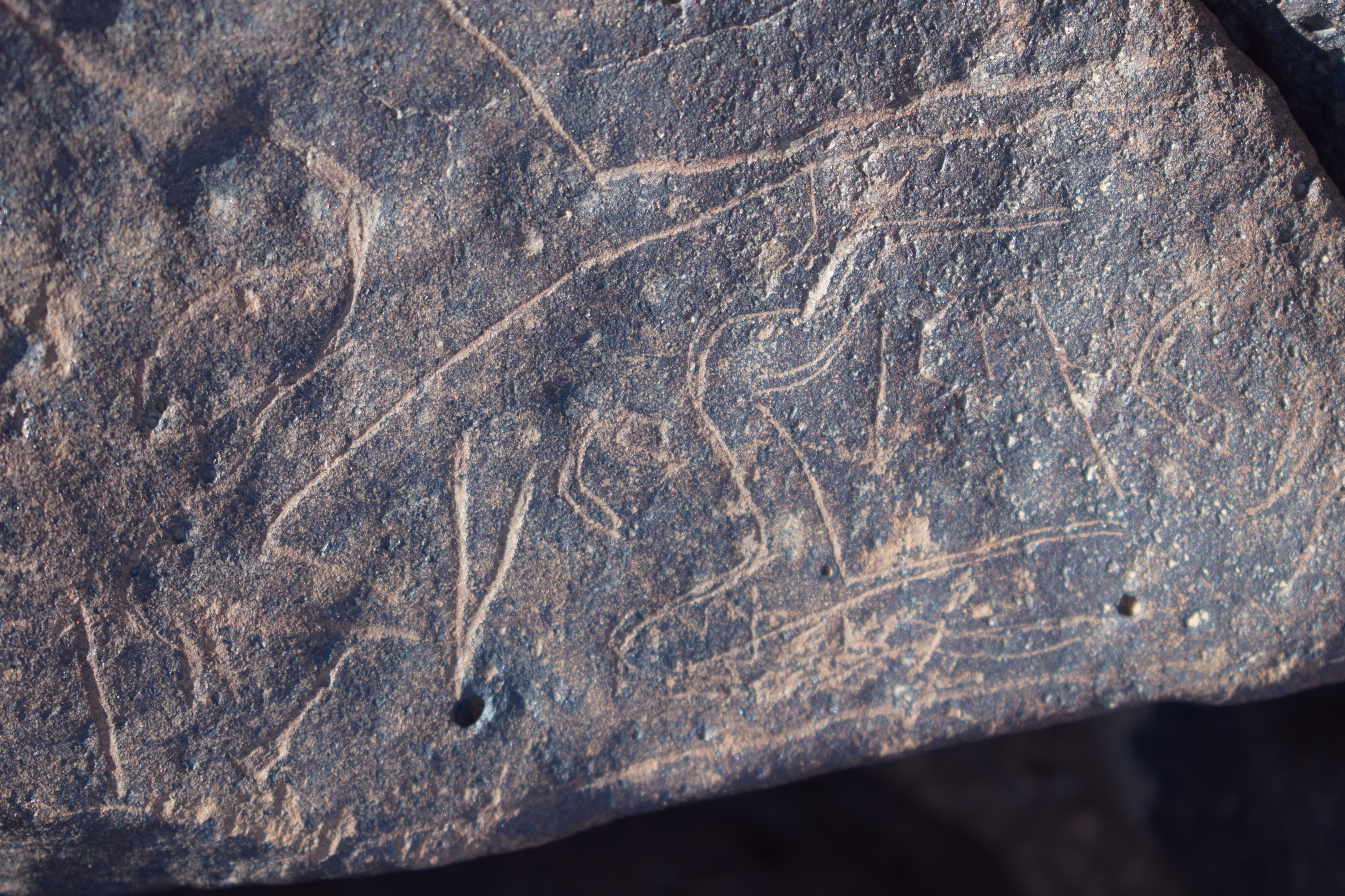 Image of siglum BES20 1662