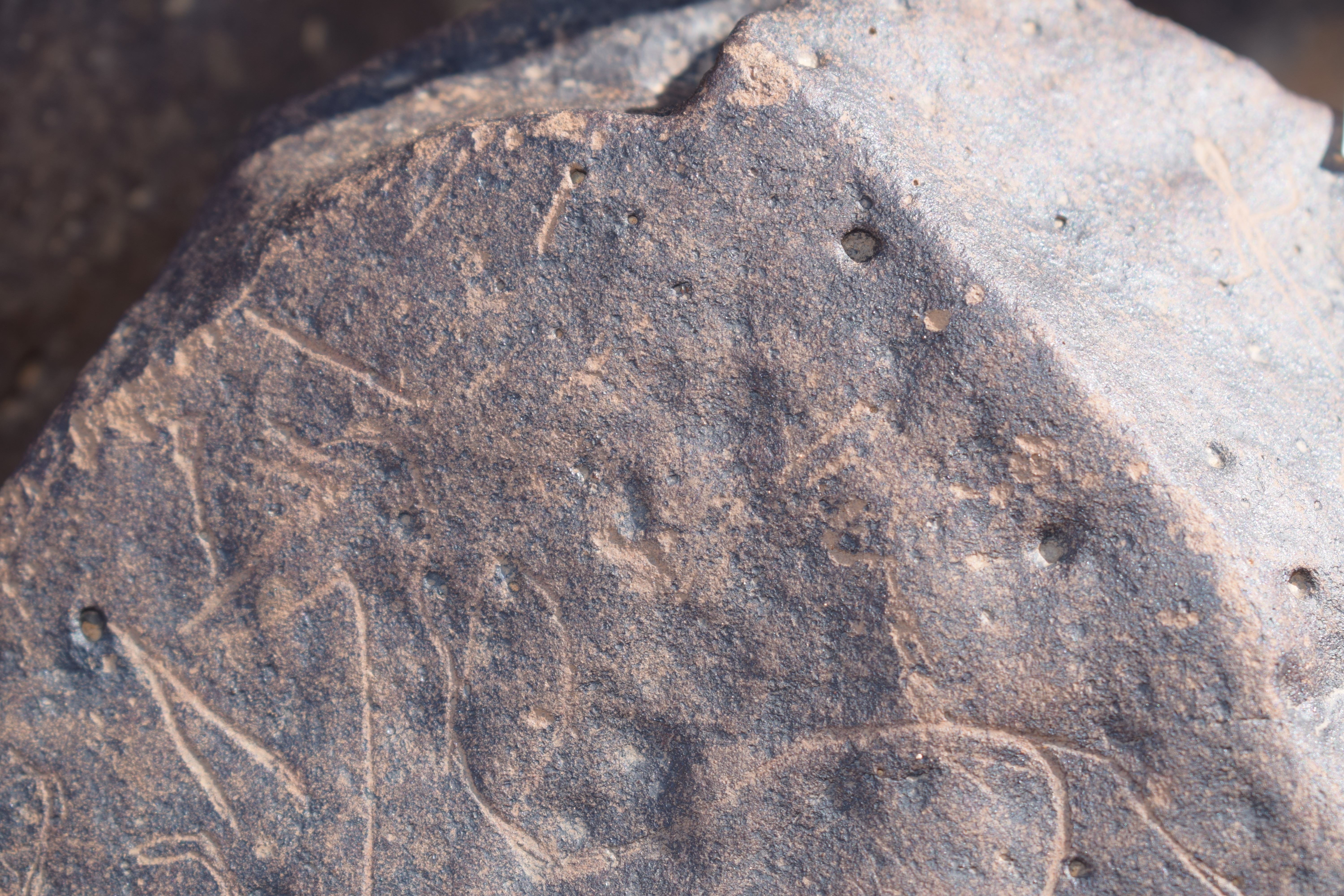 Image of siglum BES20 1662