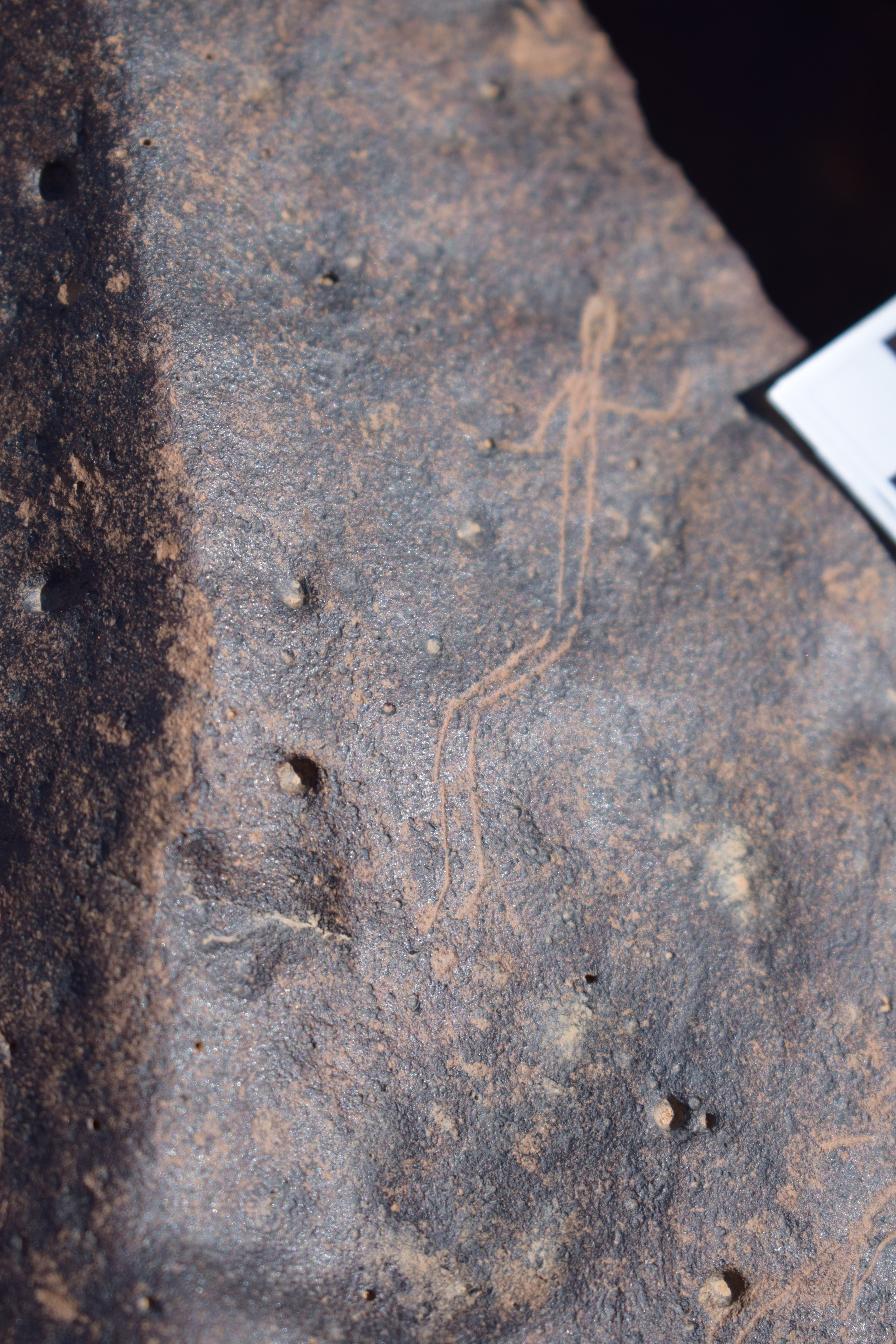 Image of siglum BES20 1662