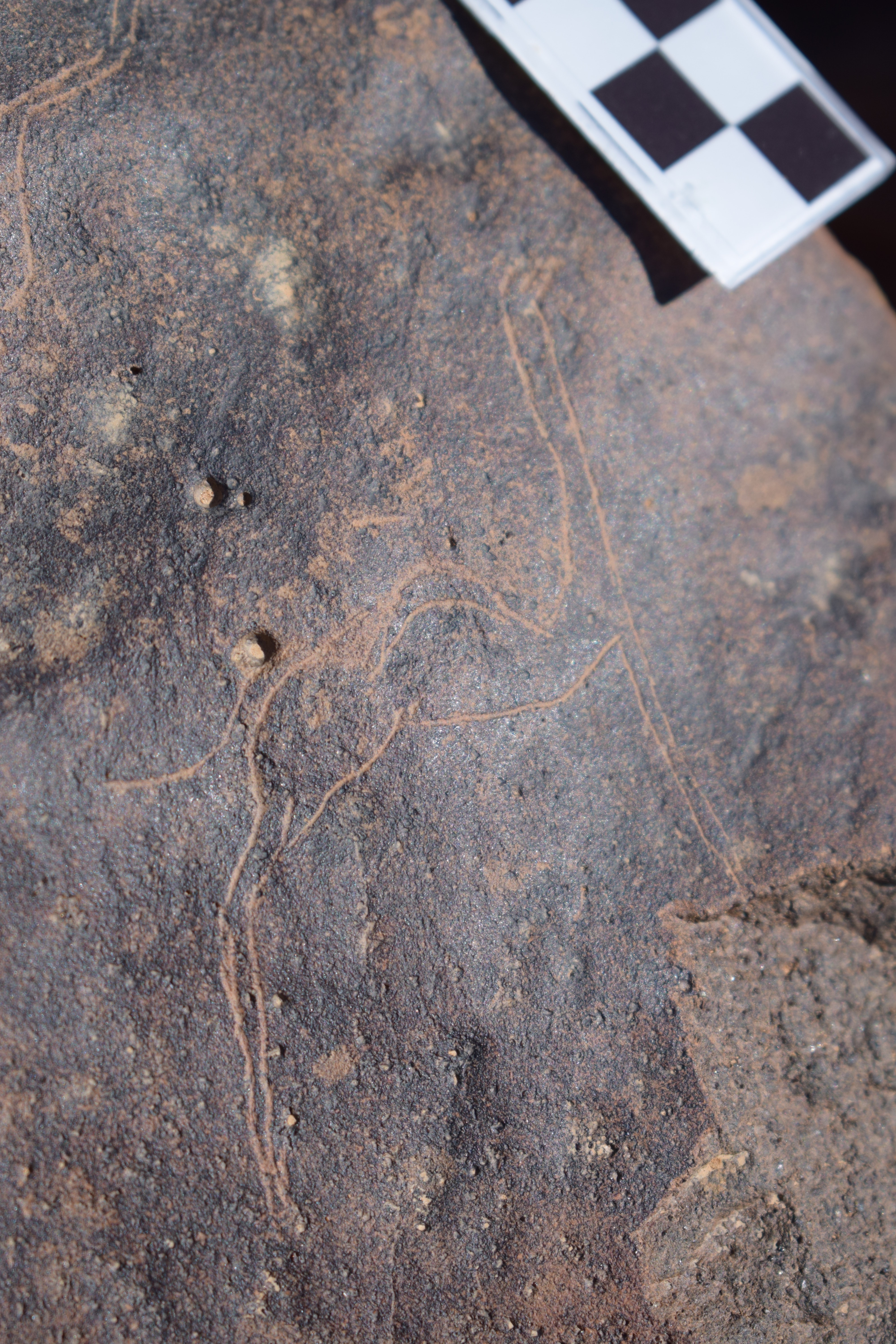 Image of siglum BES20 1662