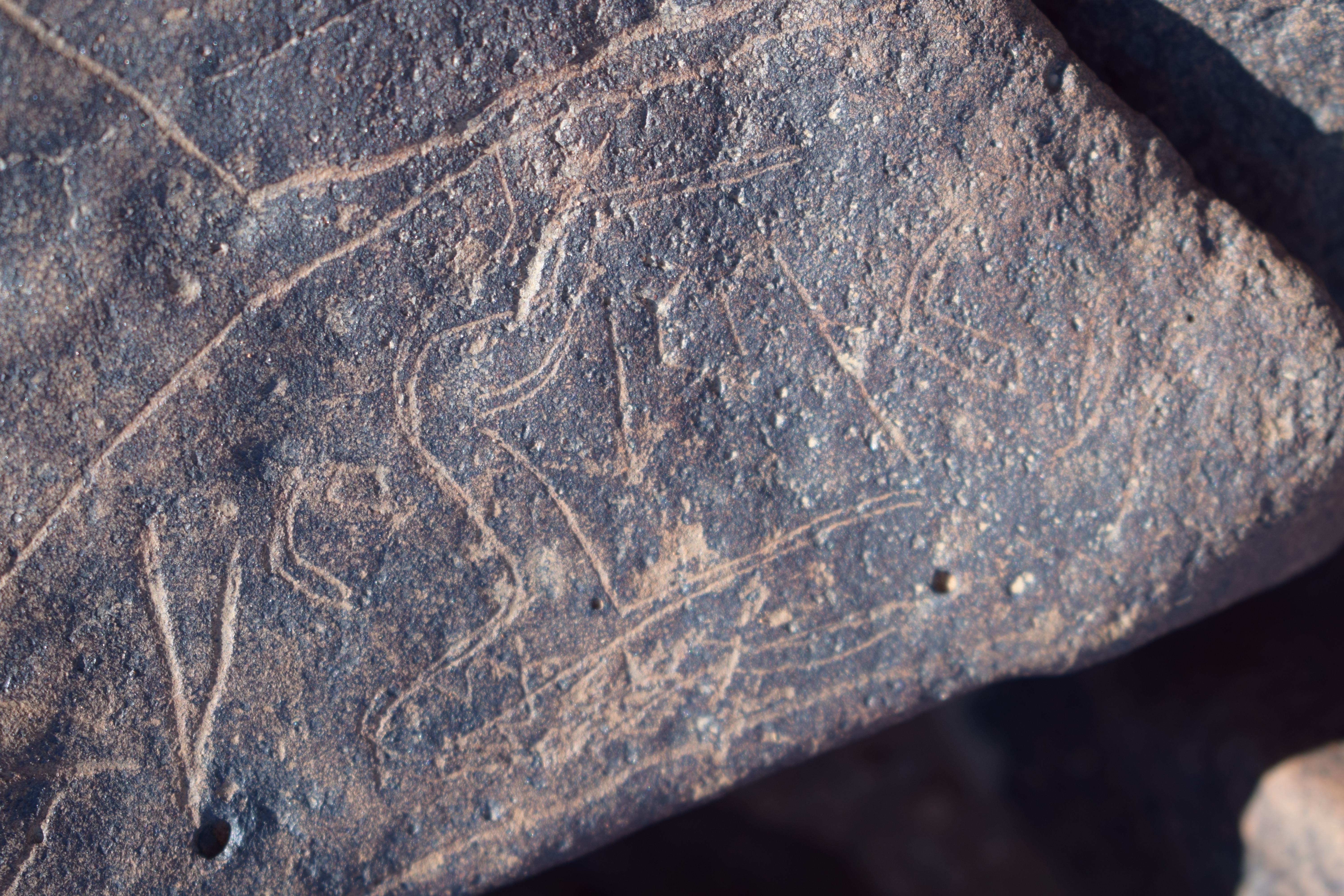 Image of siglum BES20 1662