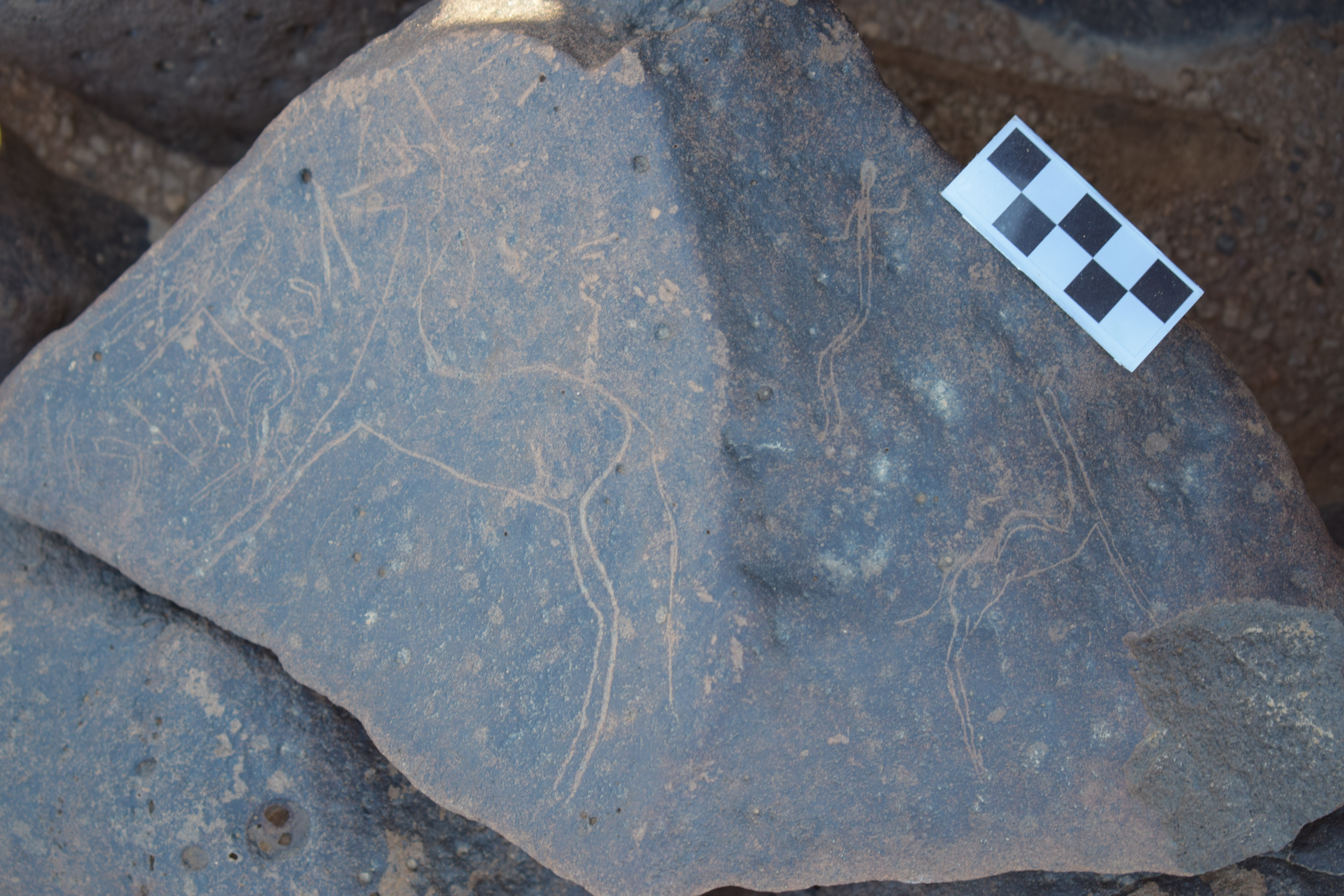 Image of siglum BES20 1662