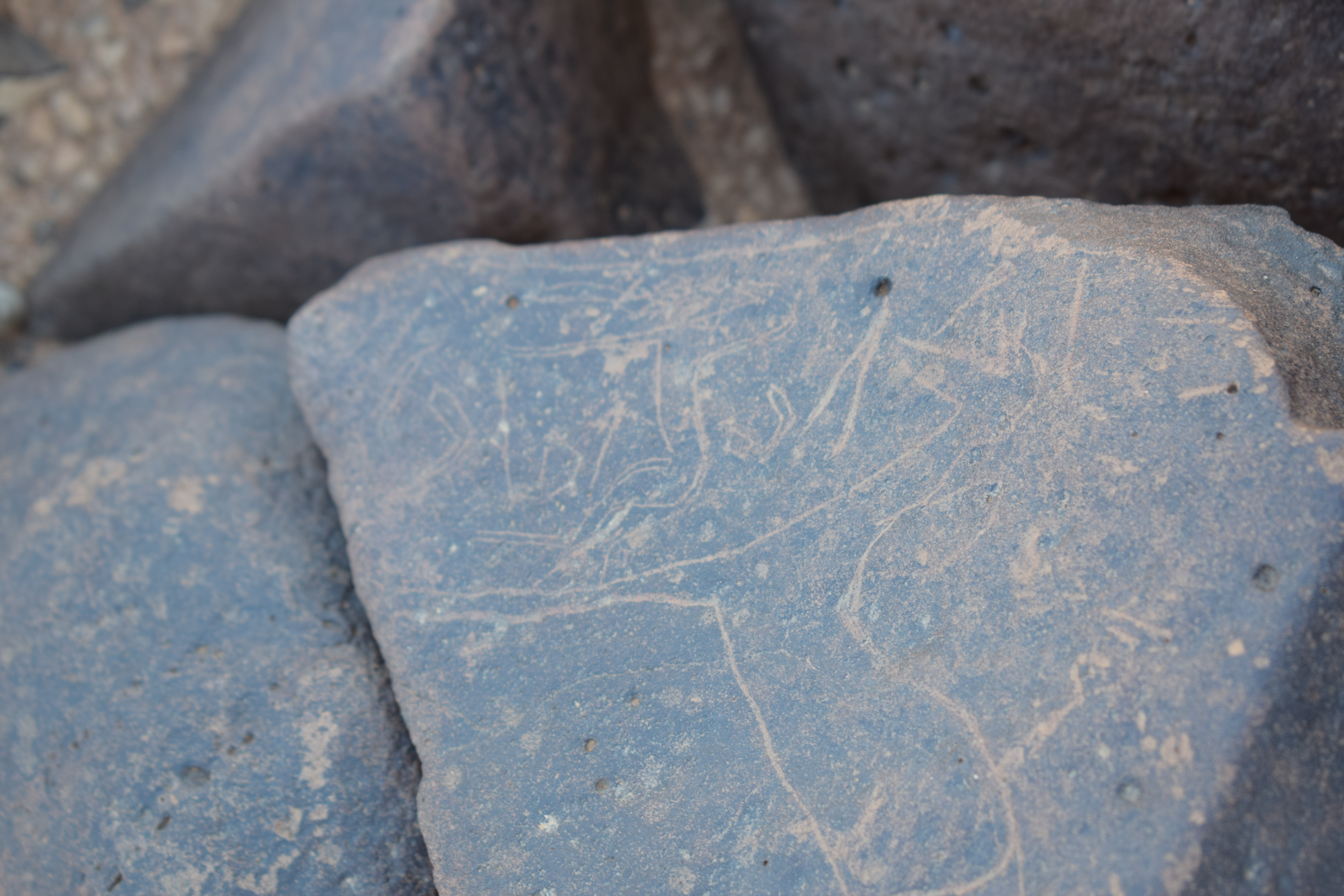 Image of siglum BES20 1662