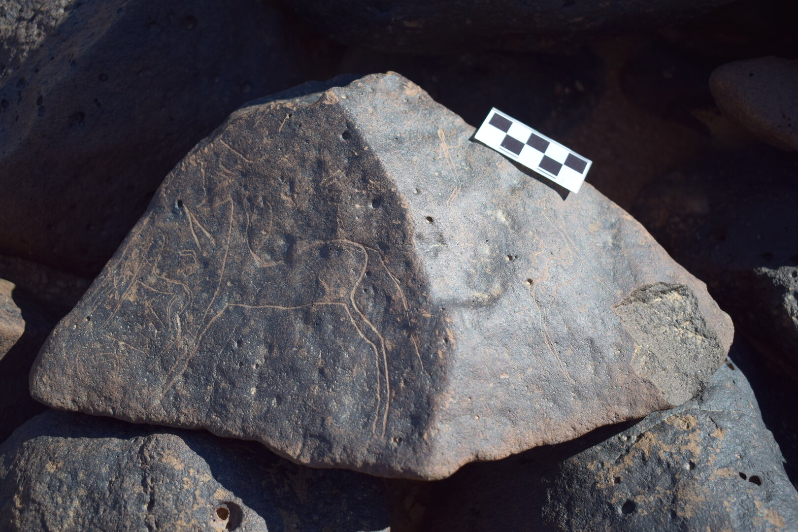 Image of siglum BES20 1662