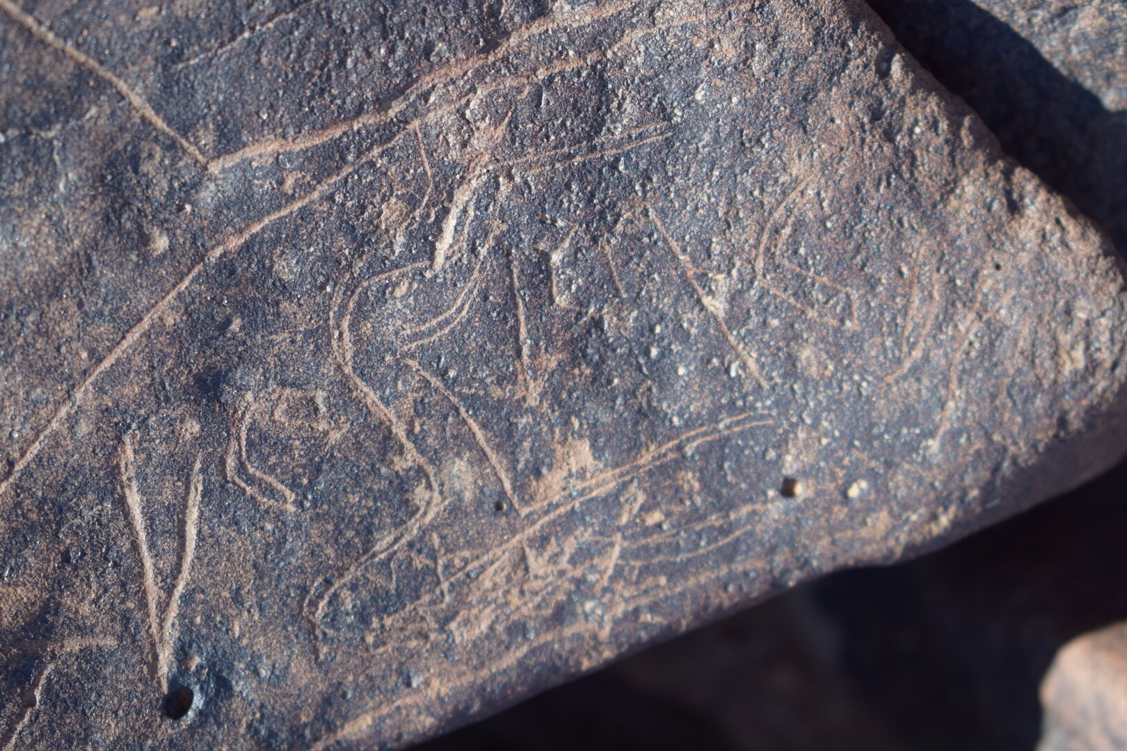 Image of siglum BES20 1662