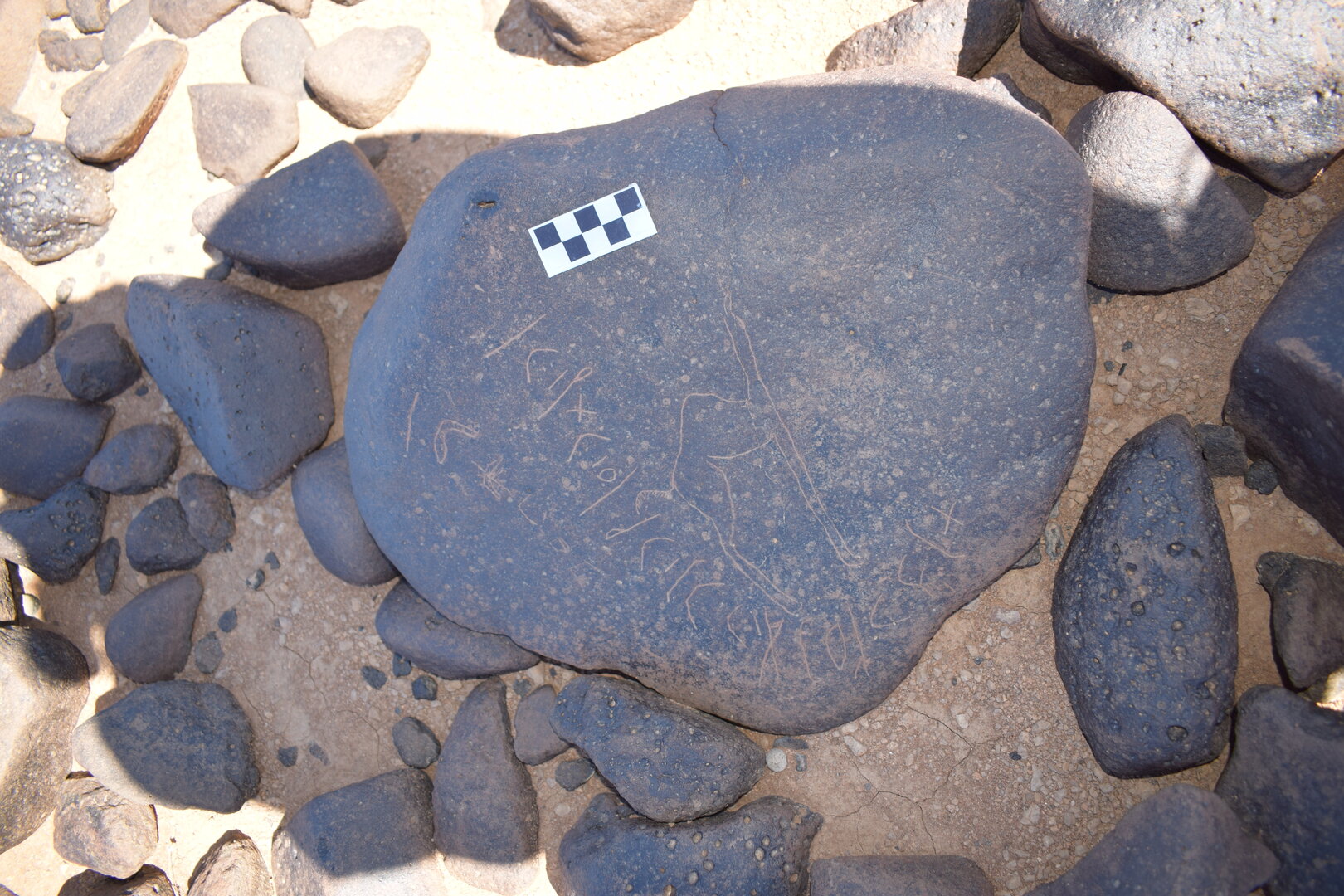 Image of siglum BES20 1664