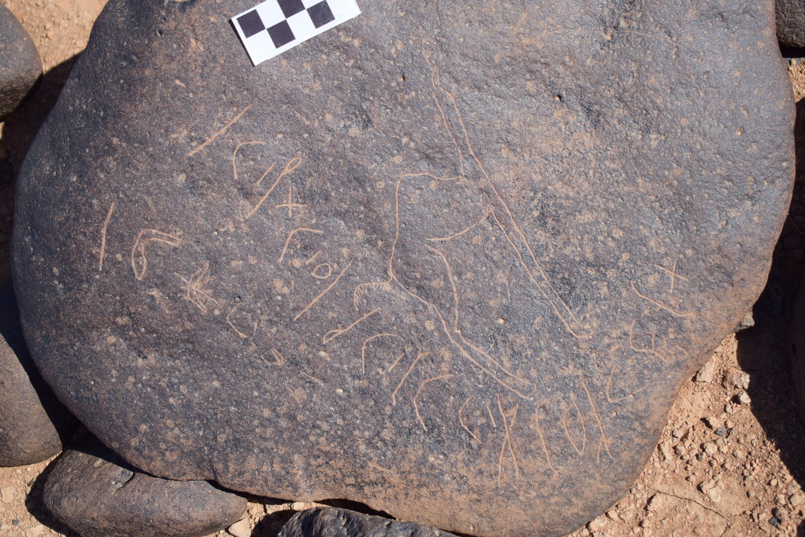 Image of siglum BES20 1664