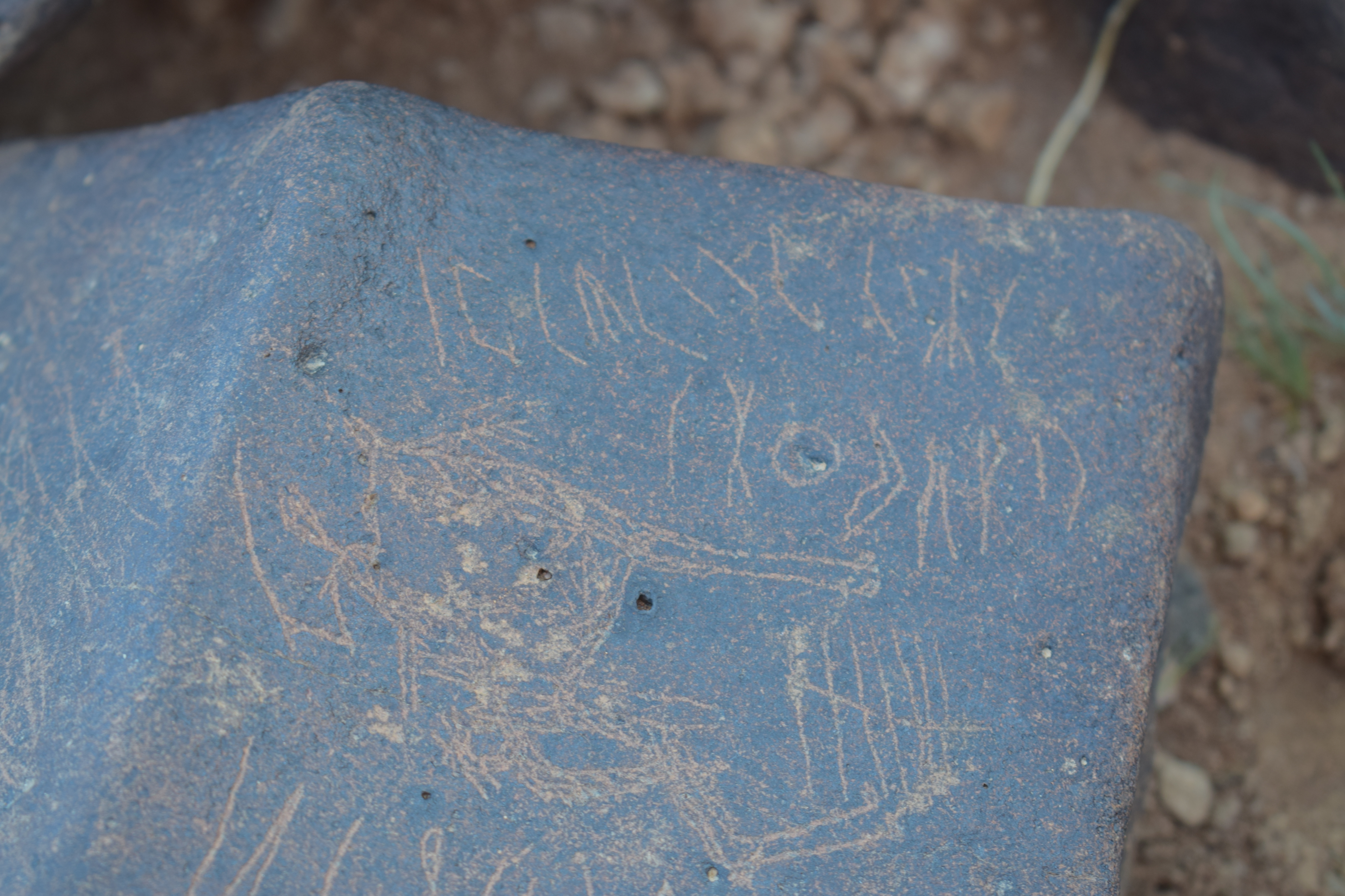 Image of siglum BES20 1667