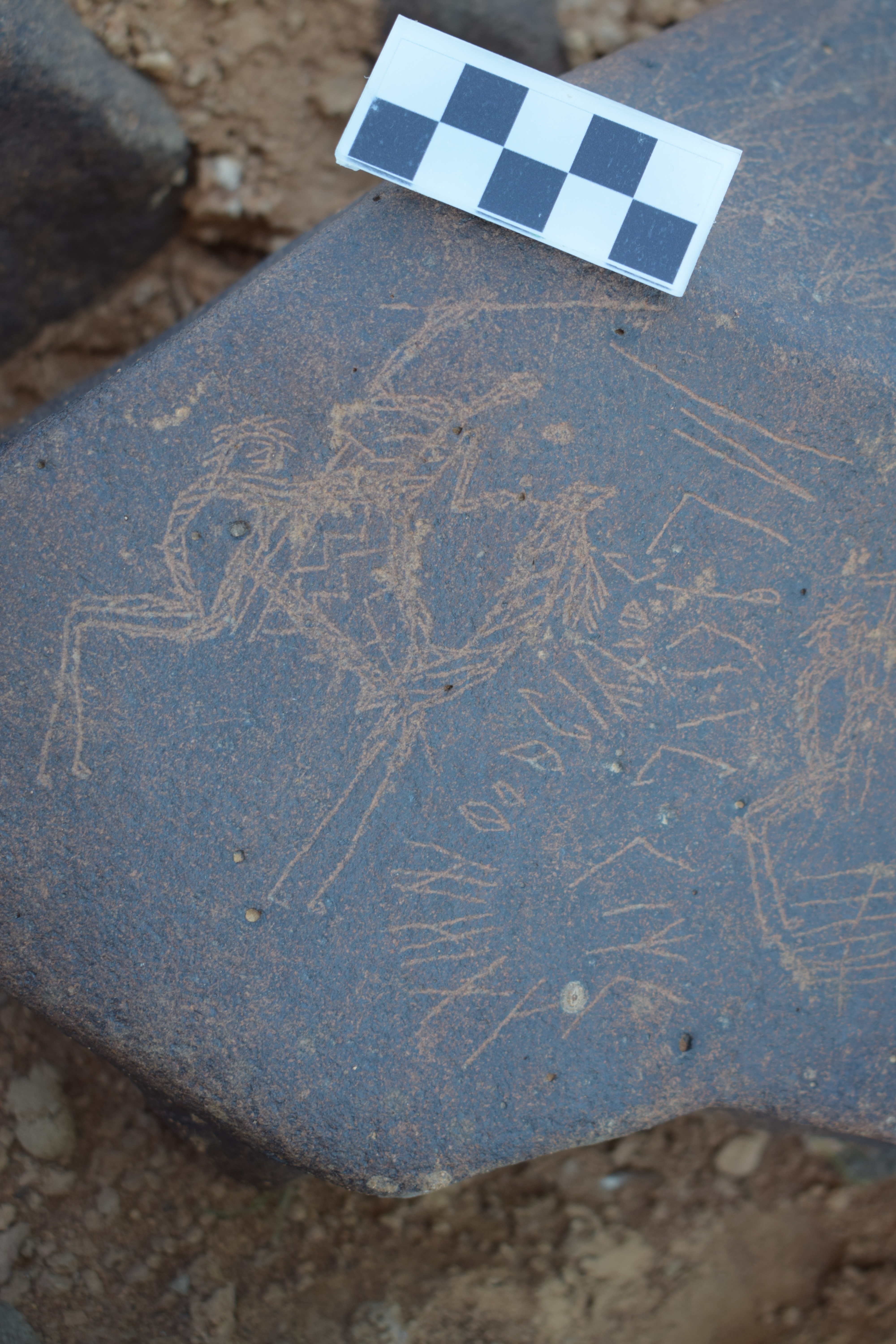 Image of siglum BES20 1667