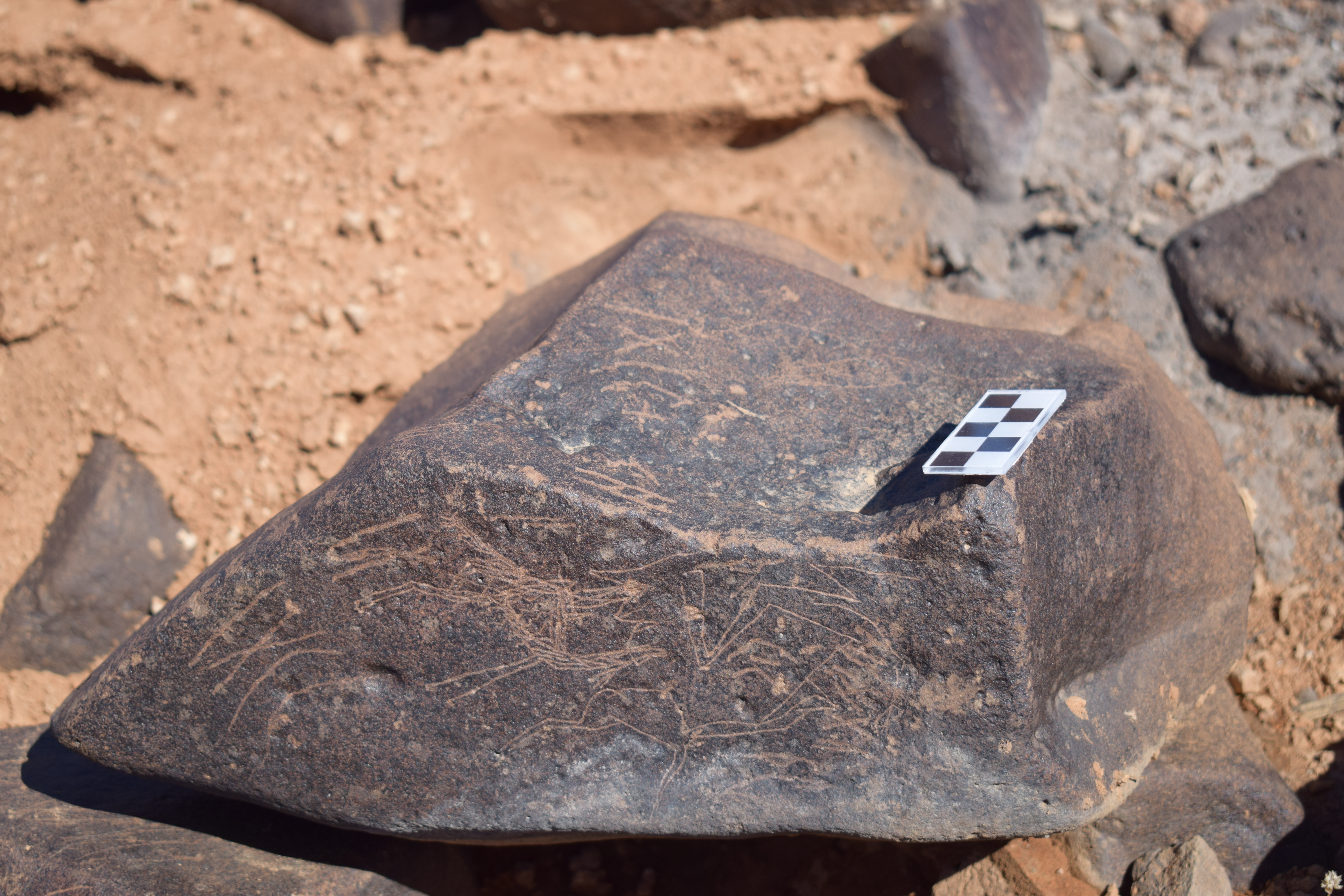 Image of siglum BES20 1669