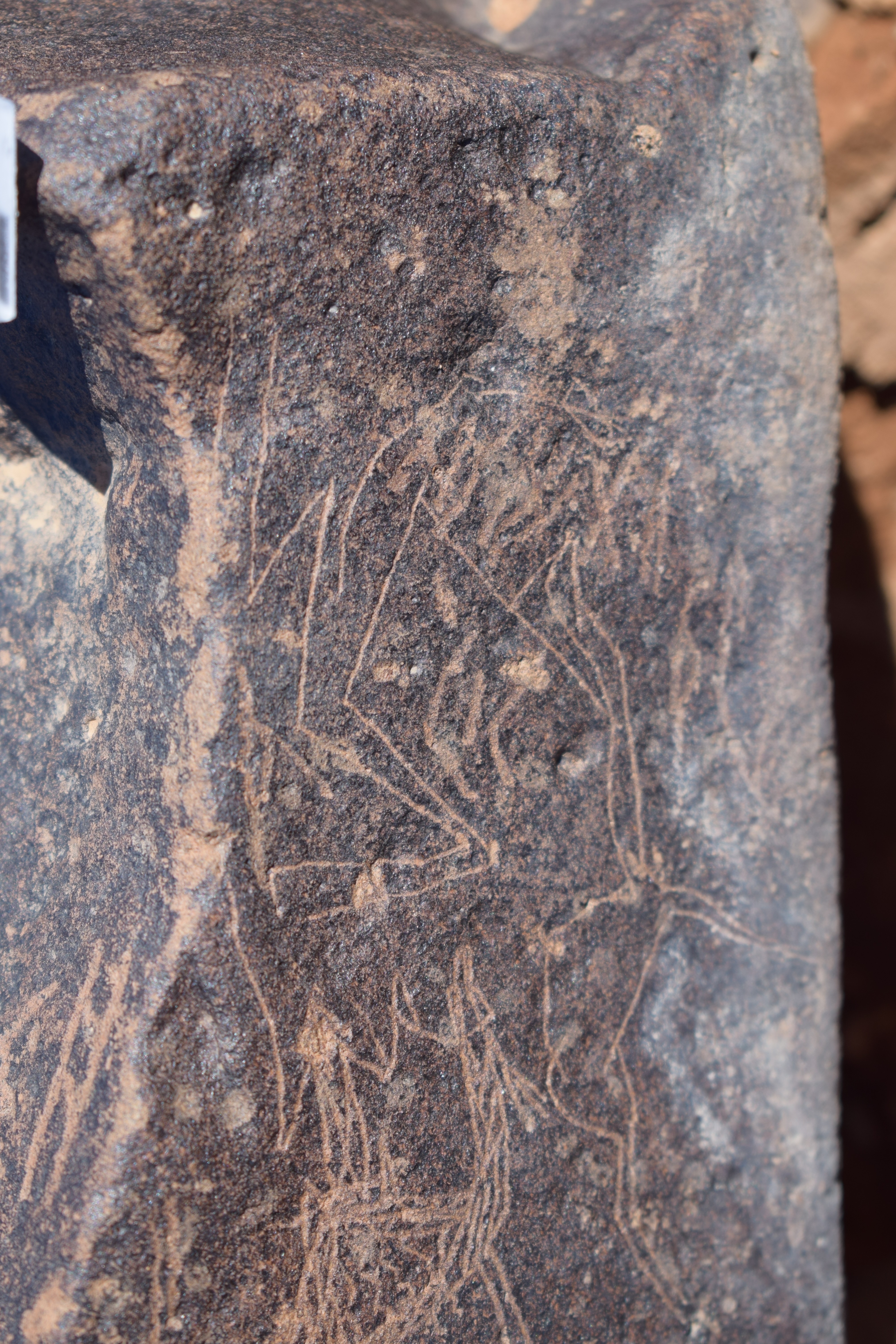 Image of siglum BES20 1669