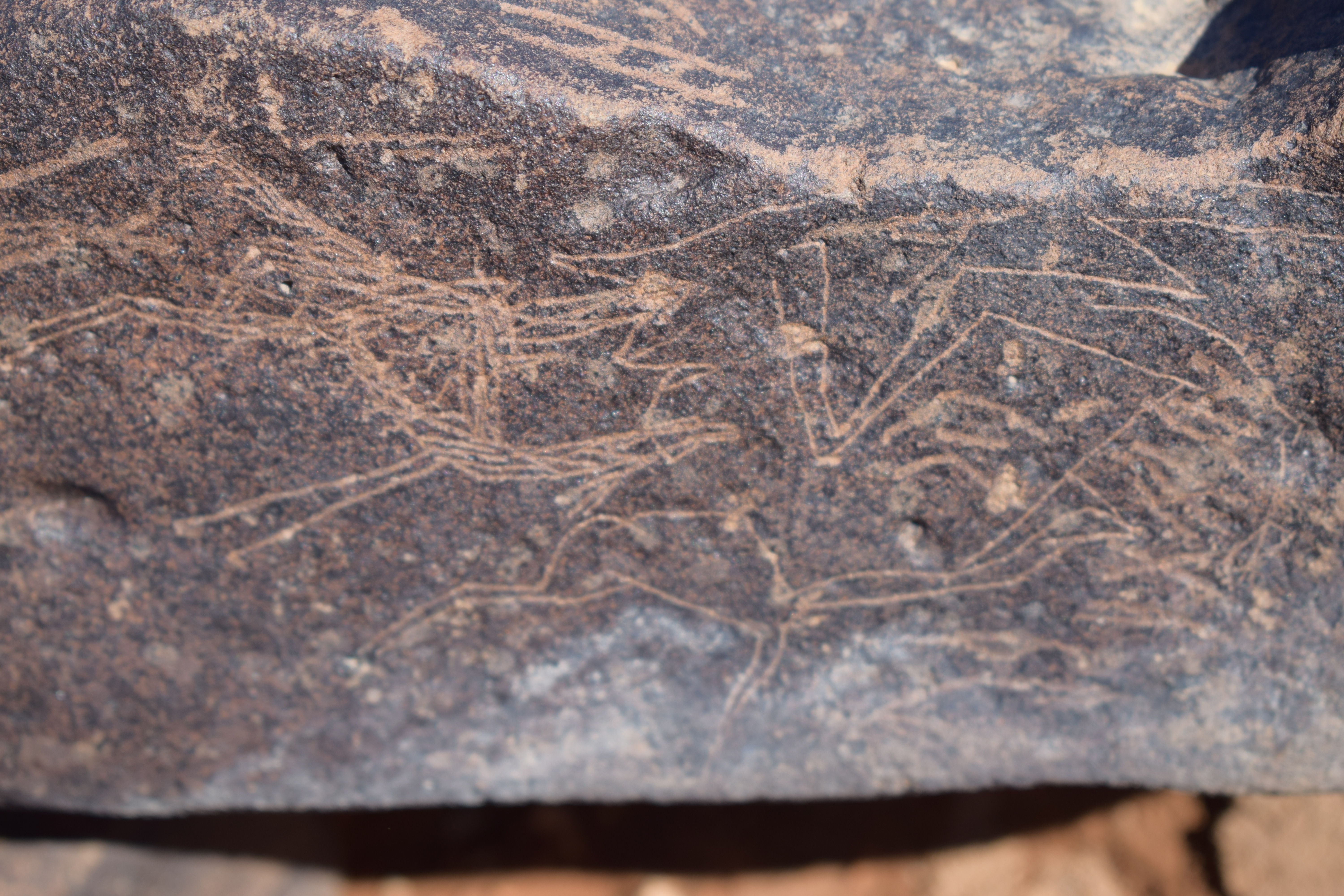 Image of siglum BES20 1669