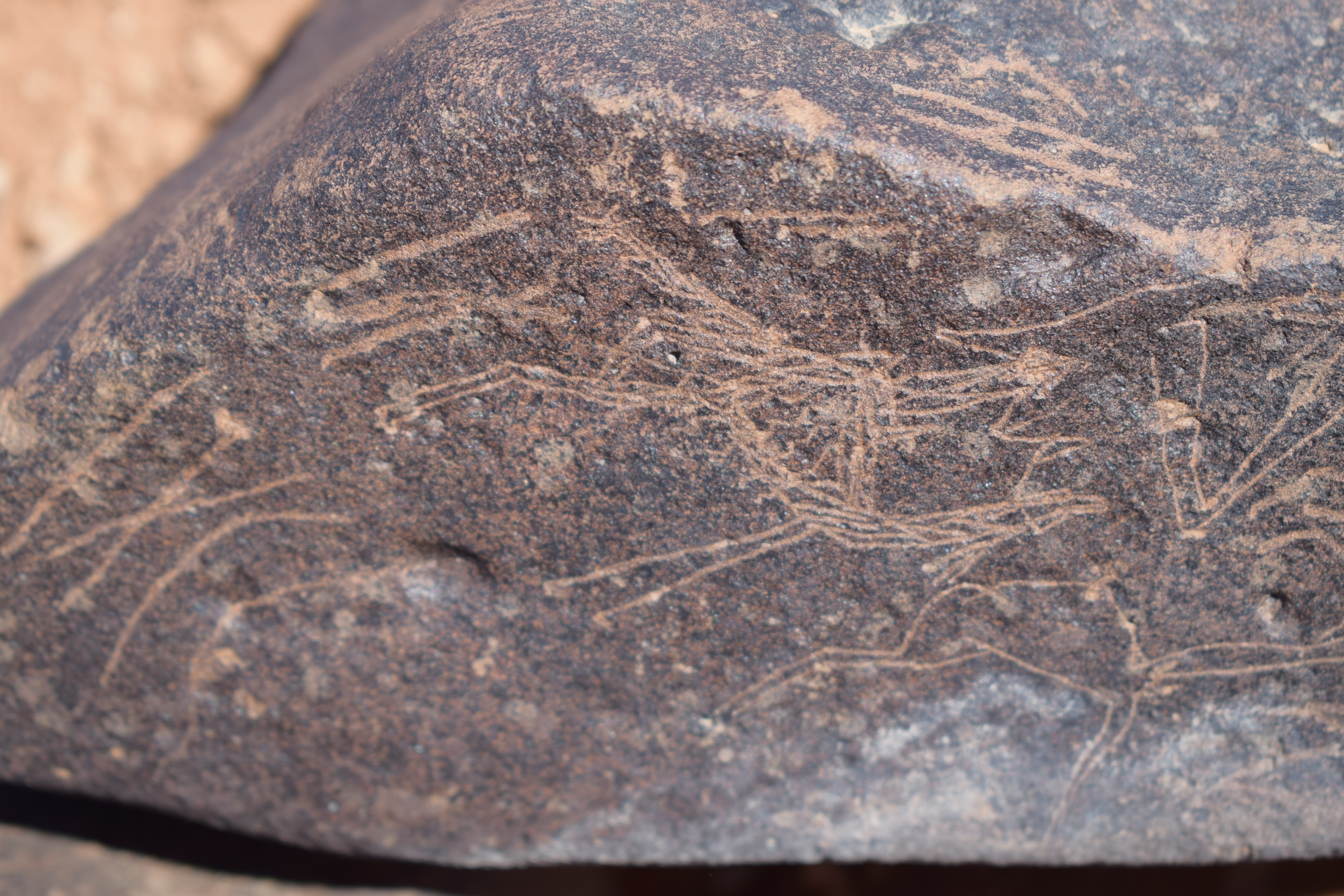 Image of siglum BES20 1669