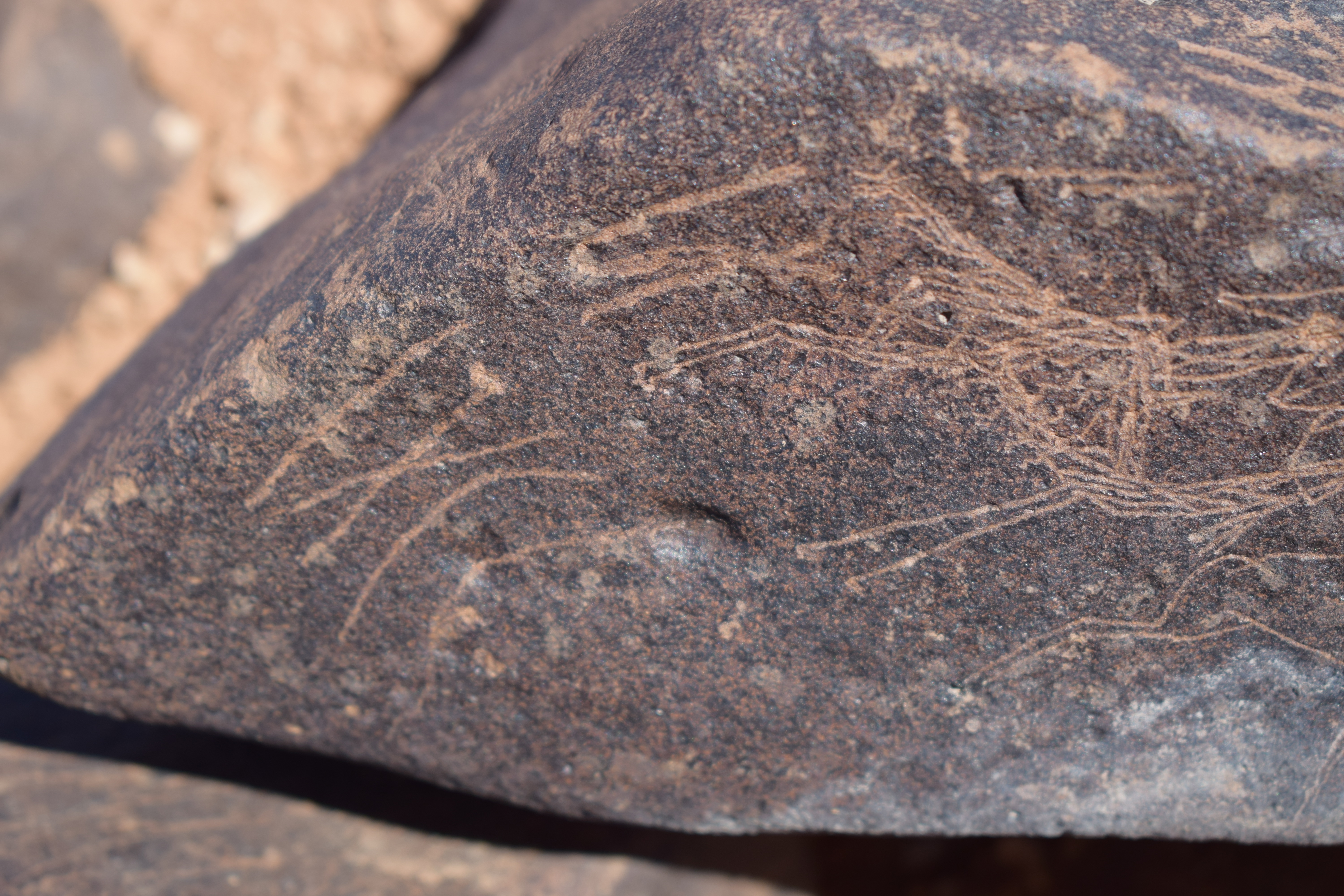 Image of siglum BES20 1669