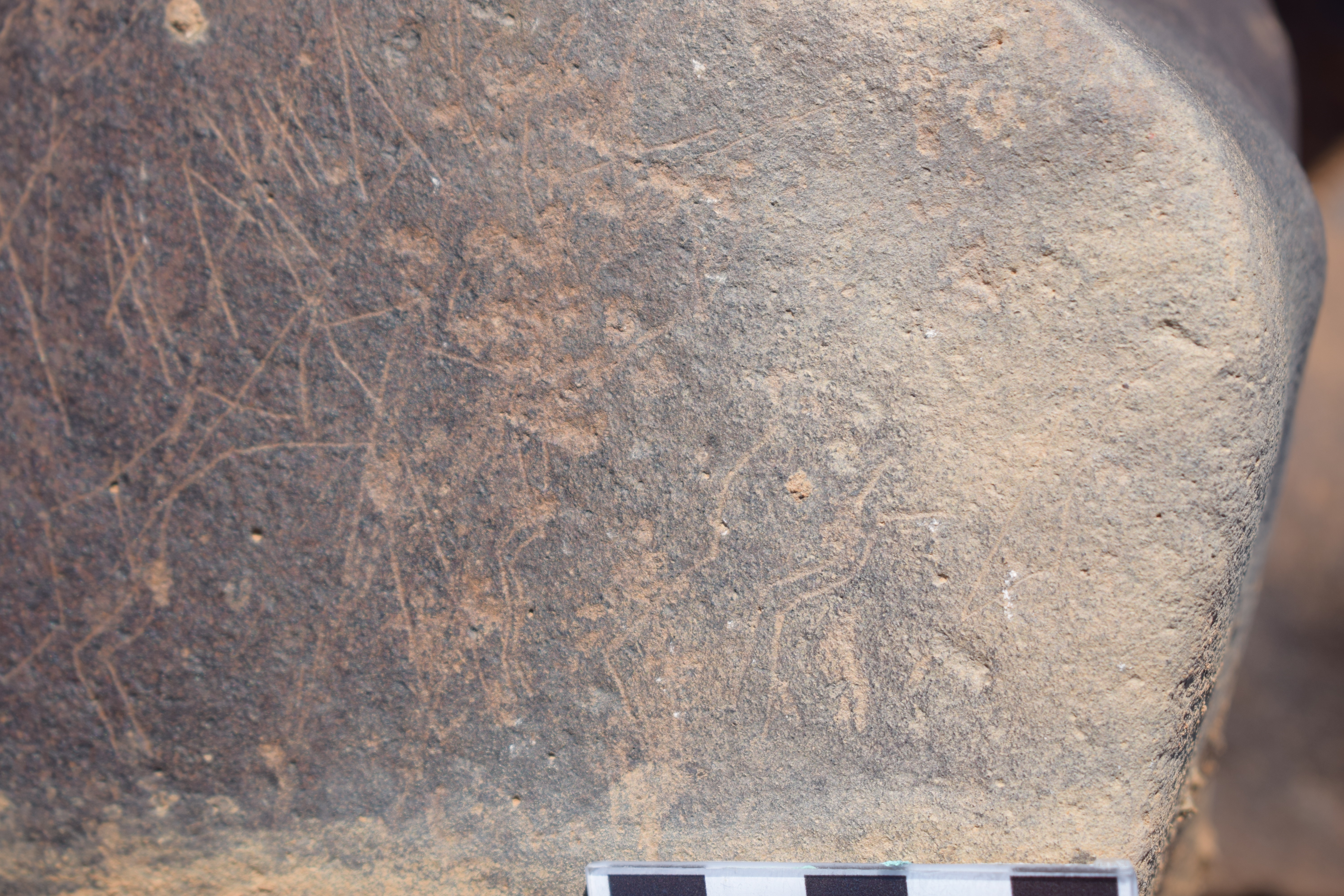 Image of siglum BES20 1675