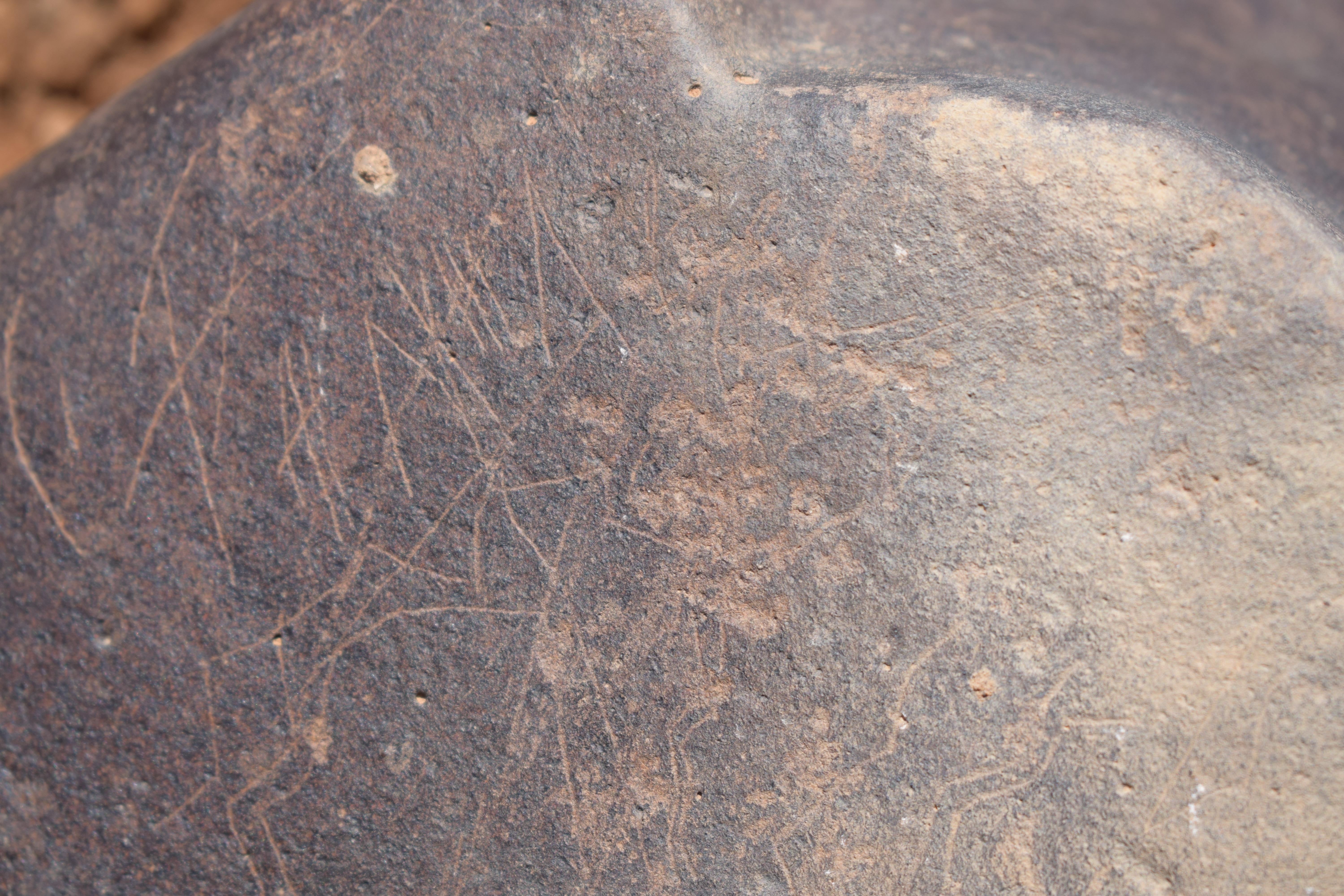 Image of siglum BES20 1675