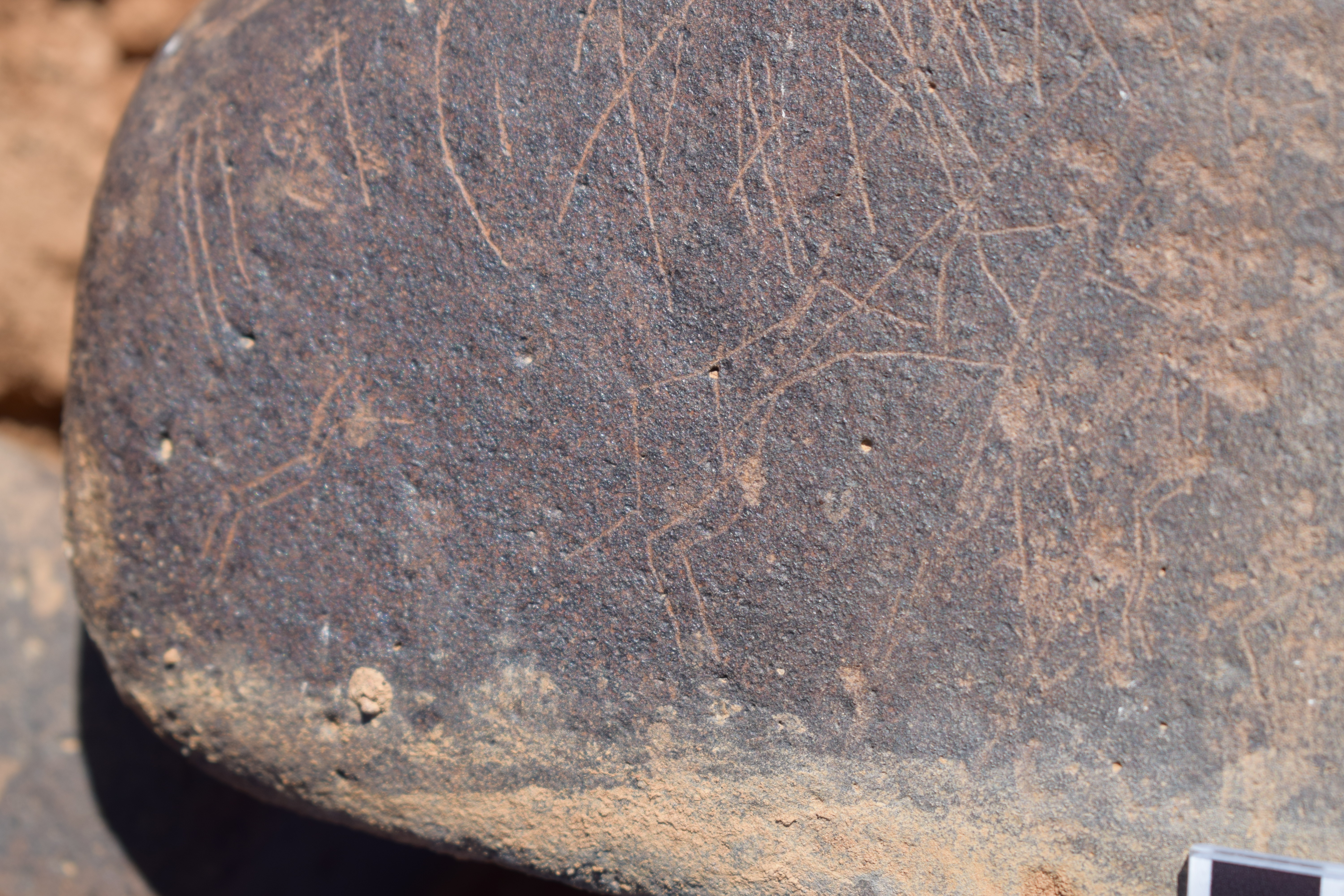 Image of siglum BES20 1675