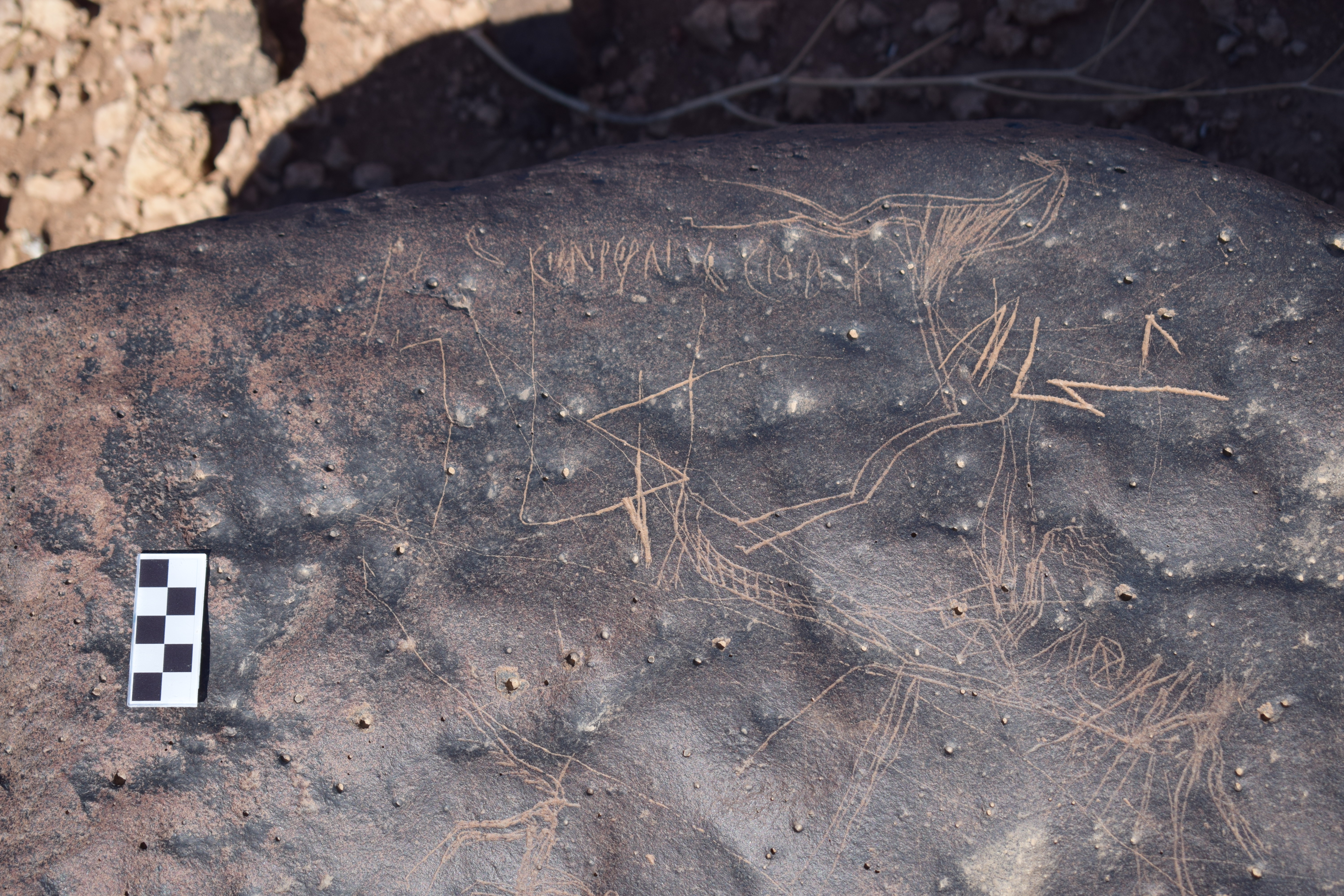 Image of siglum BES20 1676