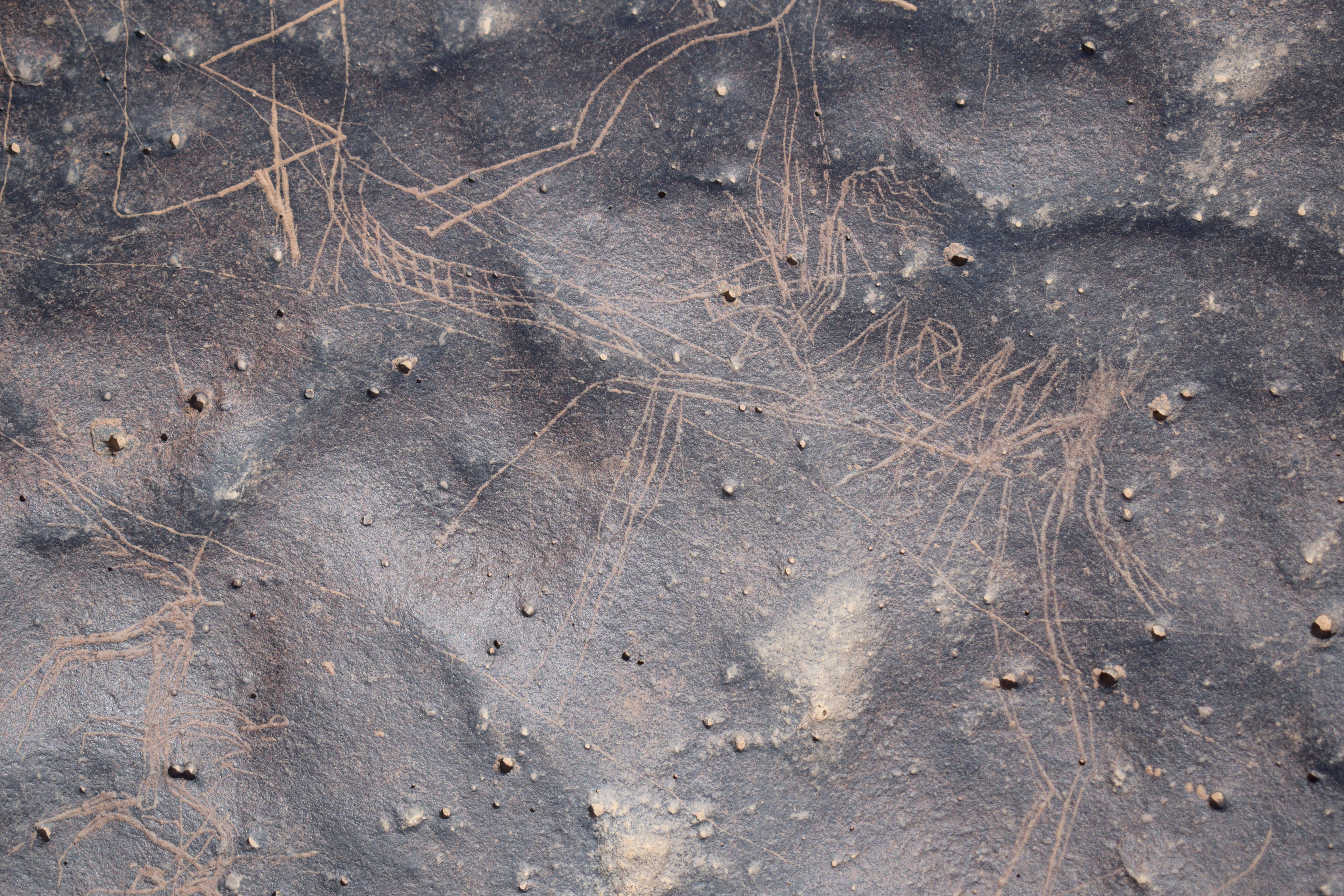 Image of siglum BES20 1676