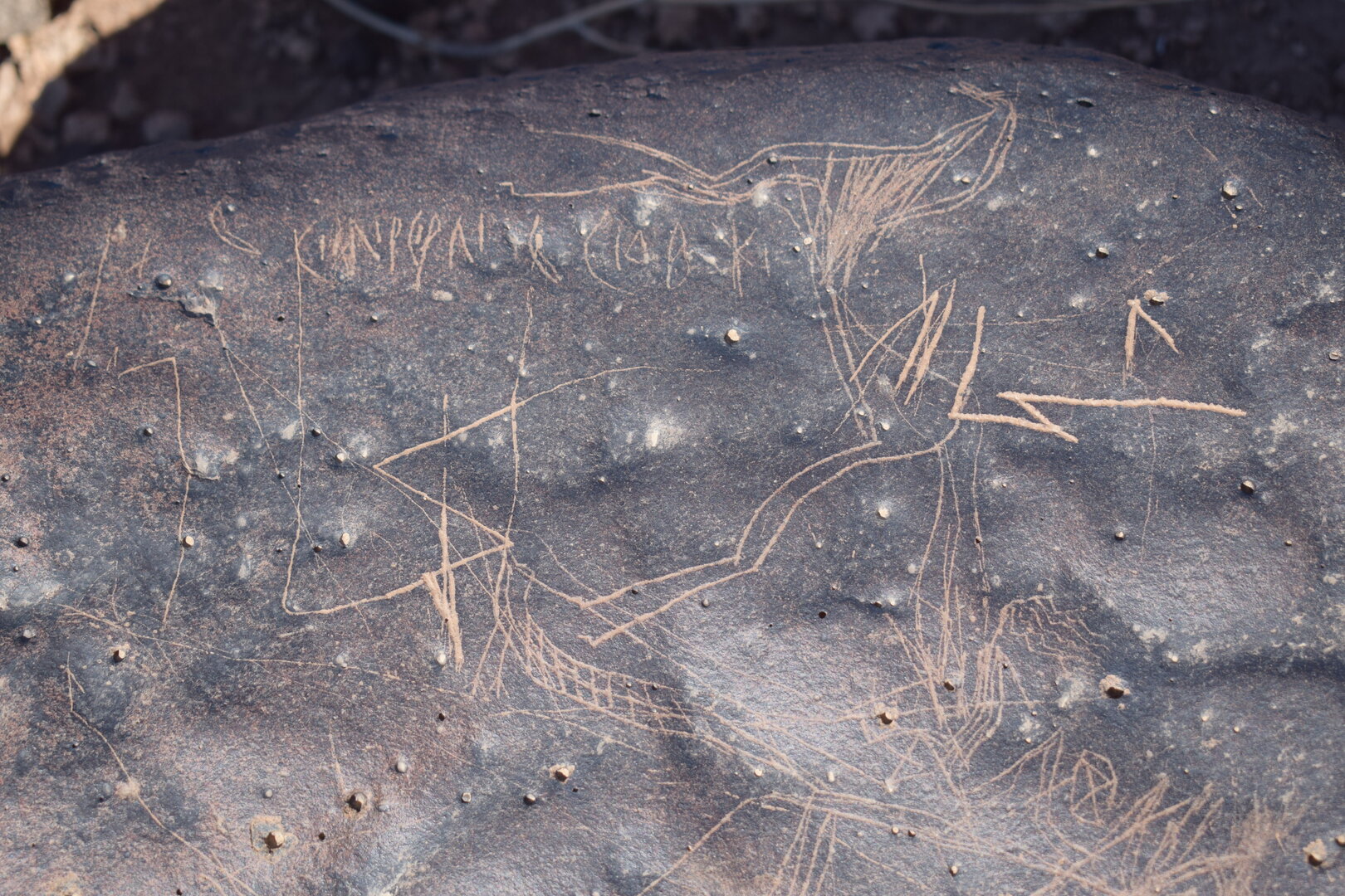 Image of siglum BES20 1676