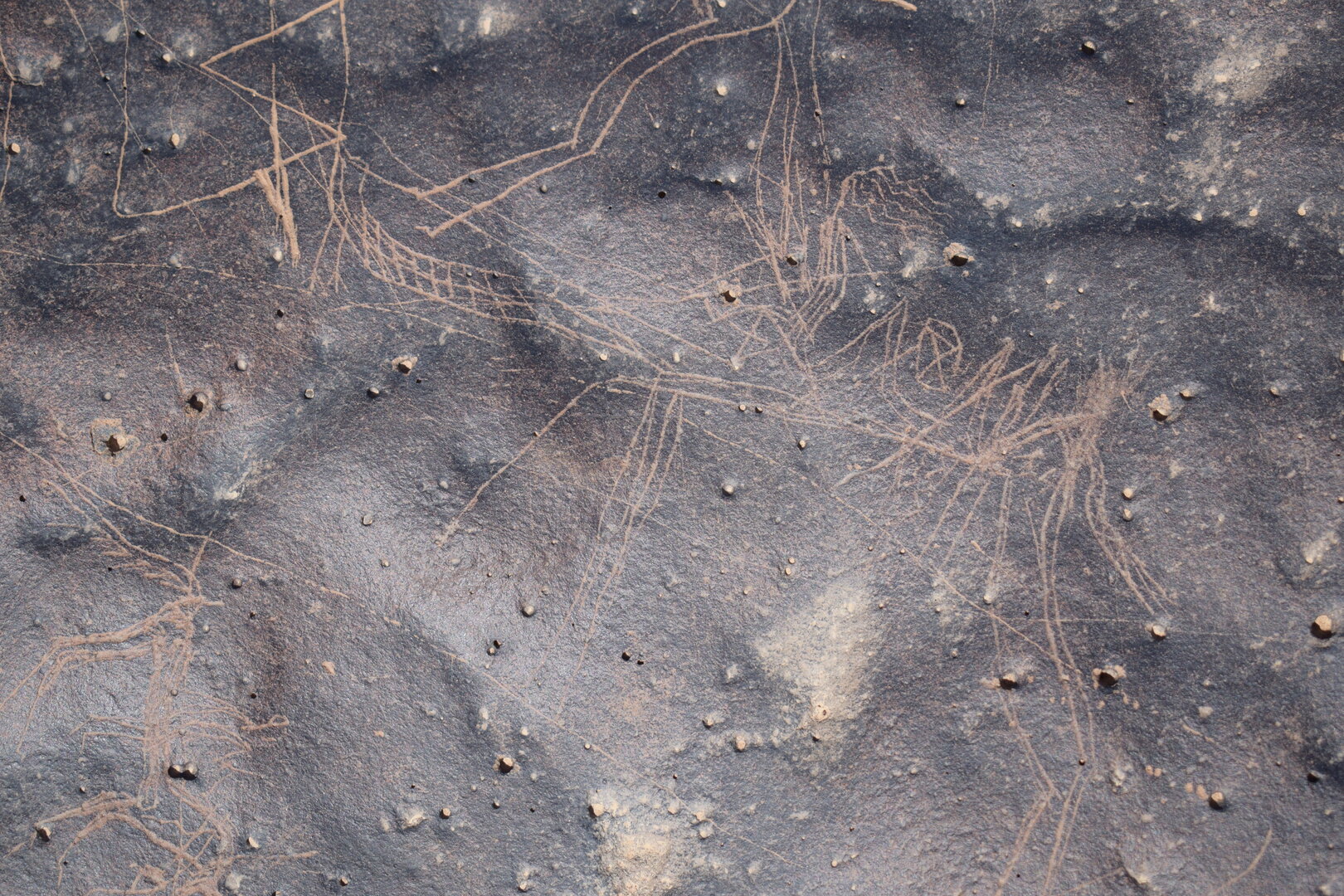 Image of siglum BES20 1676