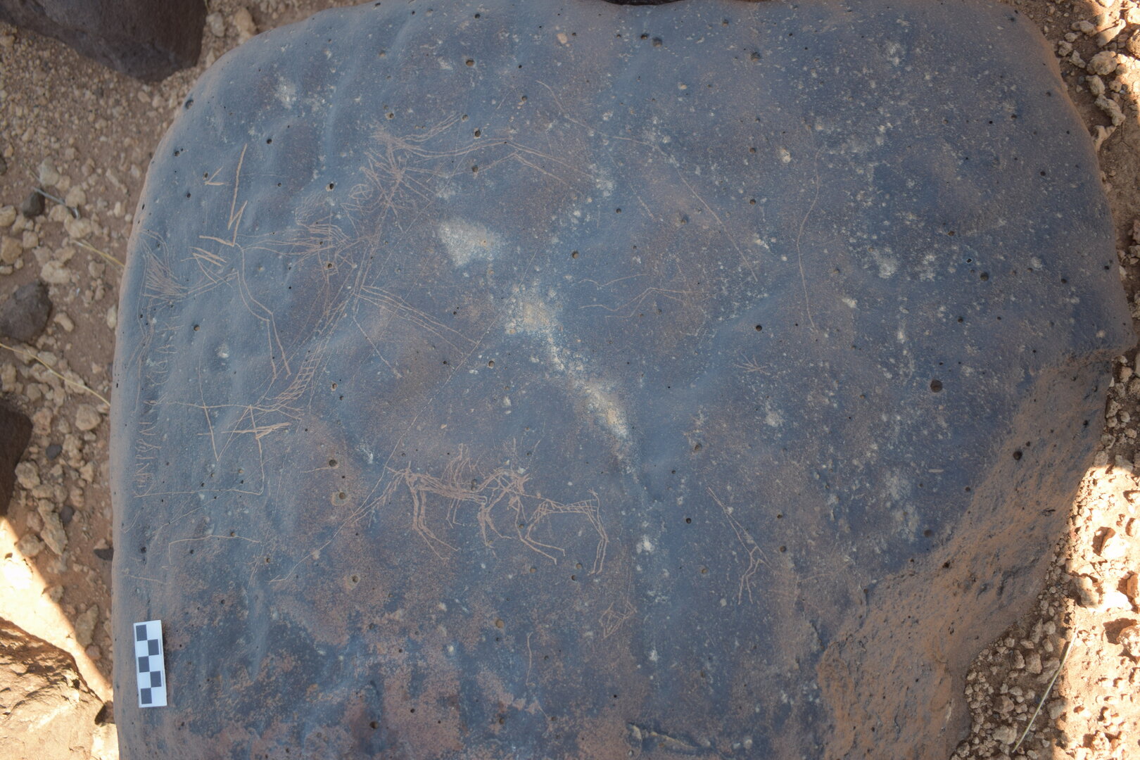 Image of siglum BES20 1676