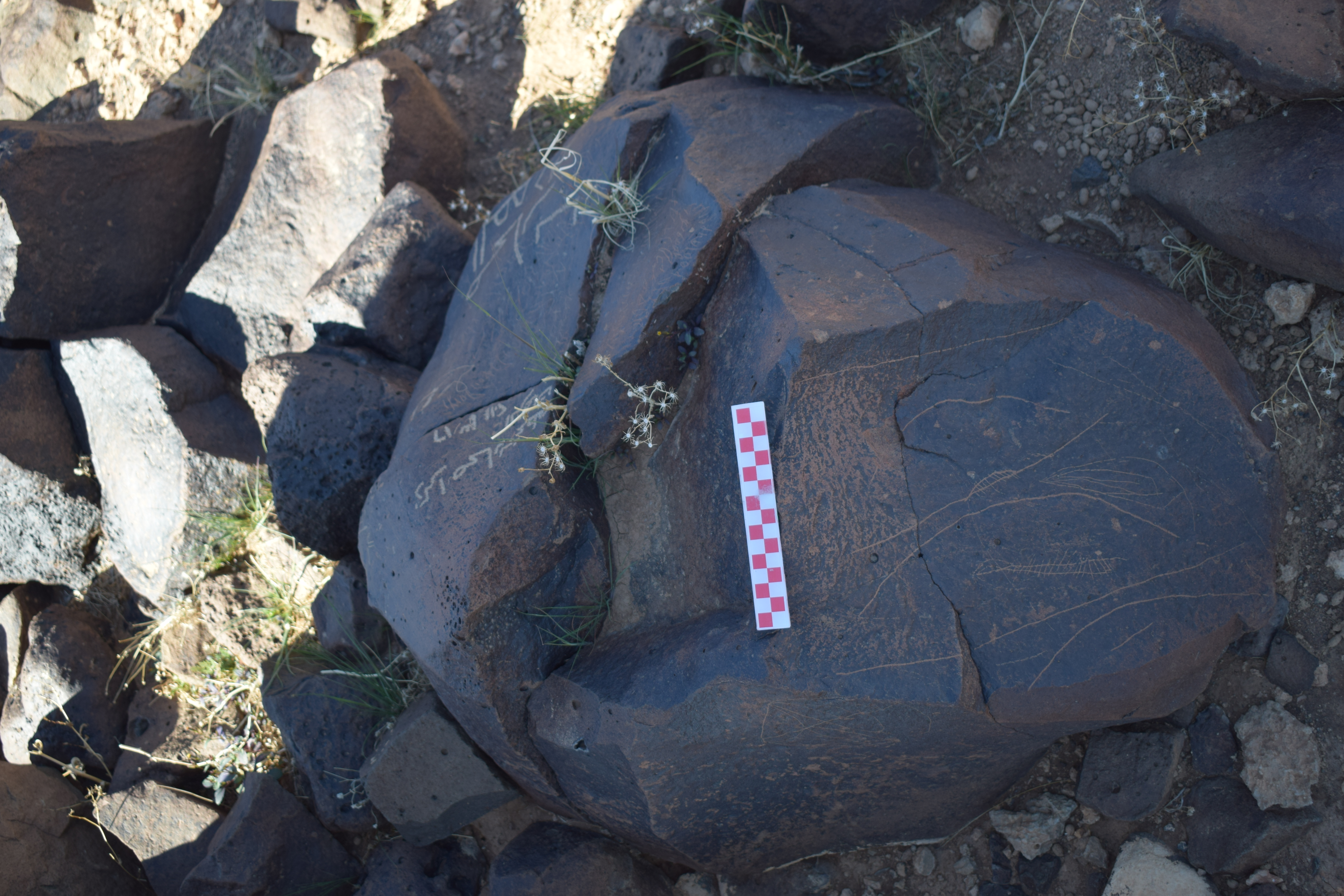 Image of siglum BES20 1677