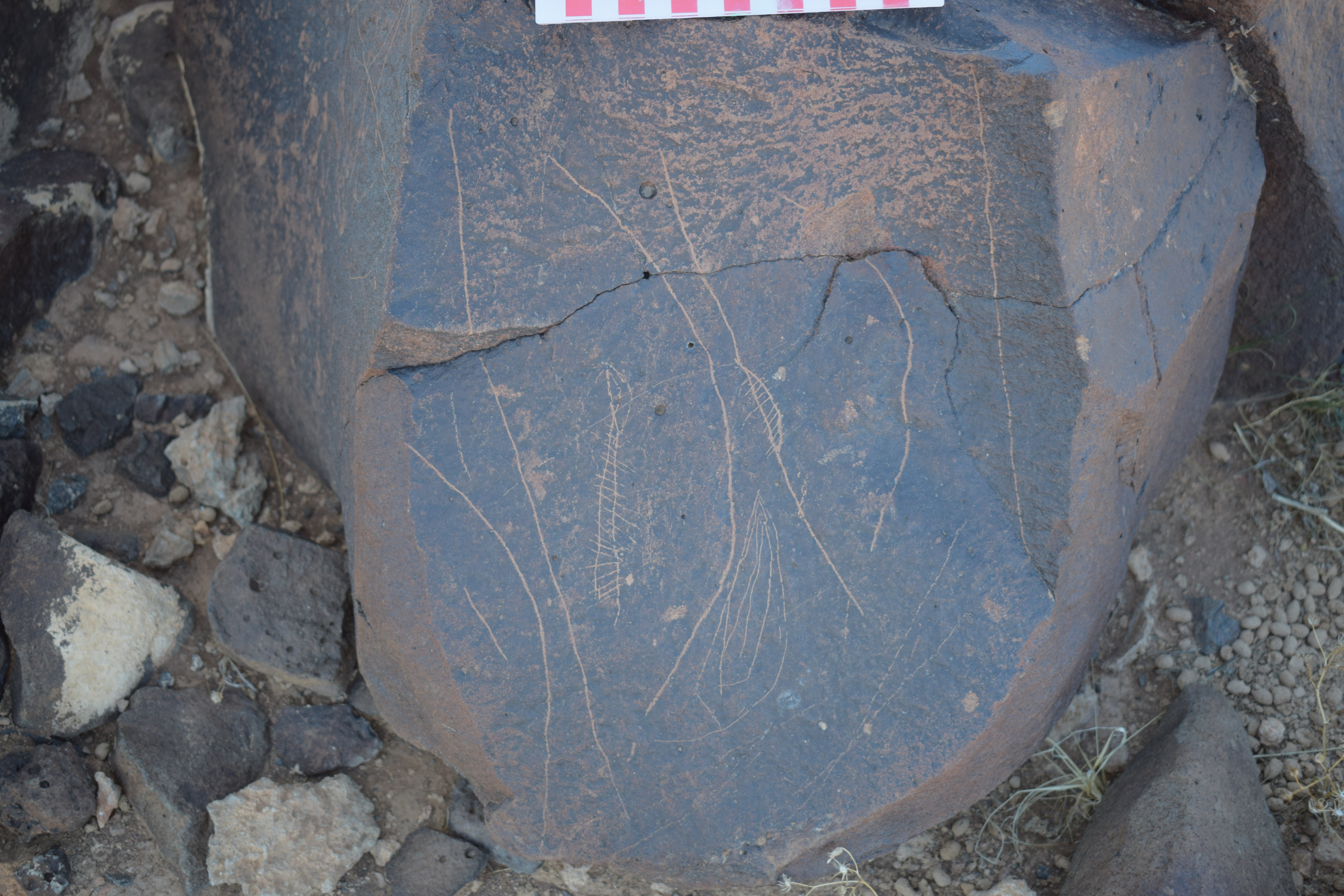 Image of siglum BES20 1677