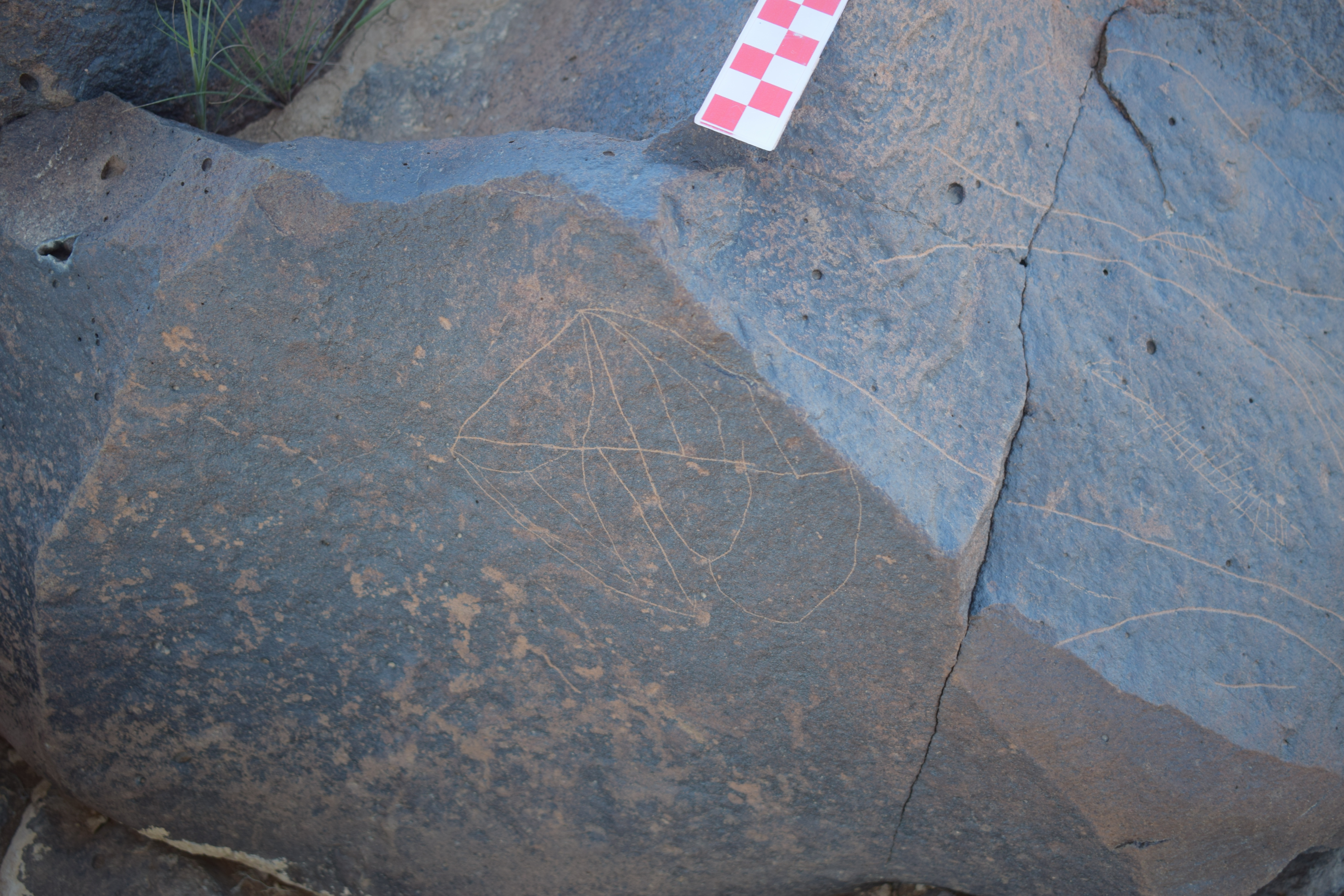 Image of siglum BES20 1677