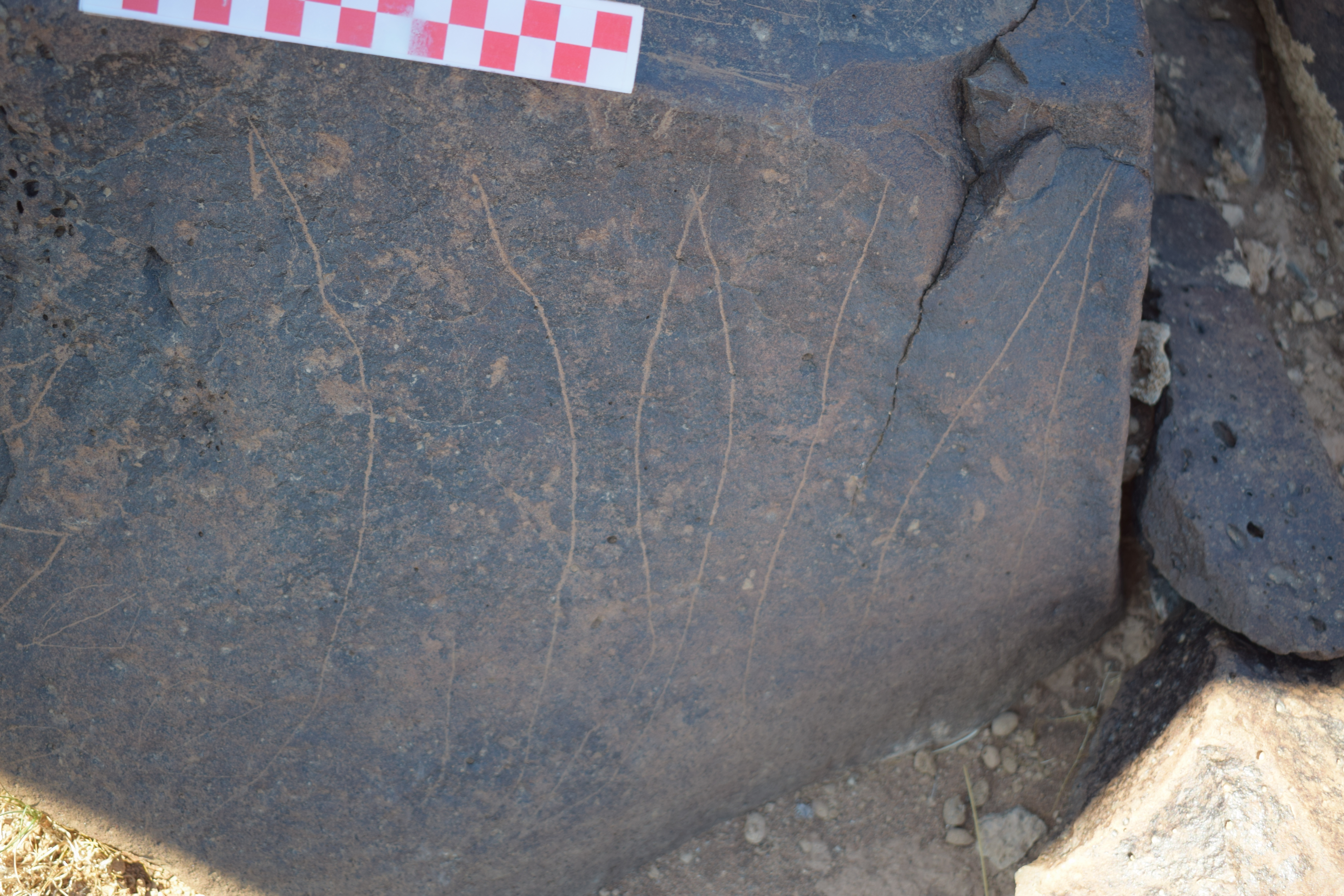 Image of siglum BES20 1677