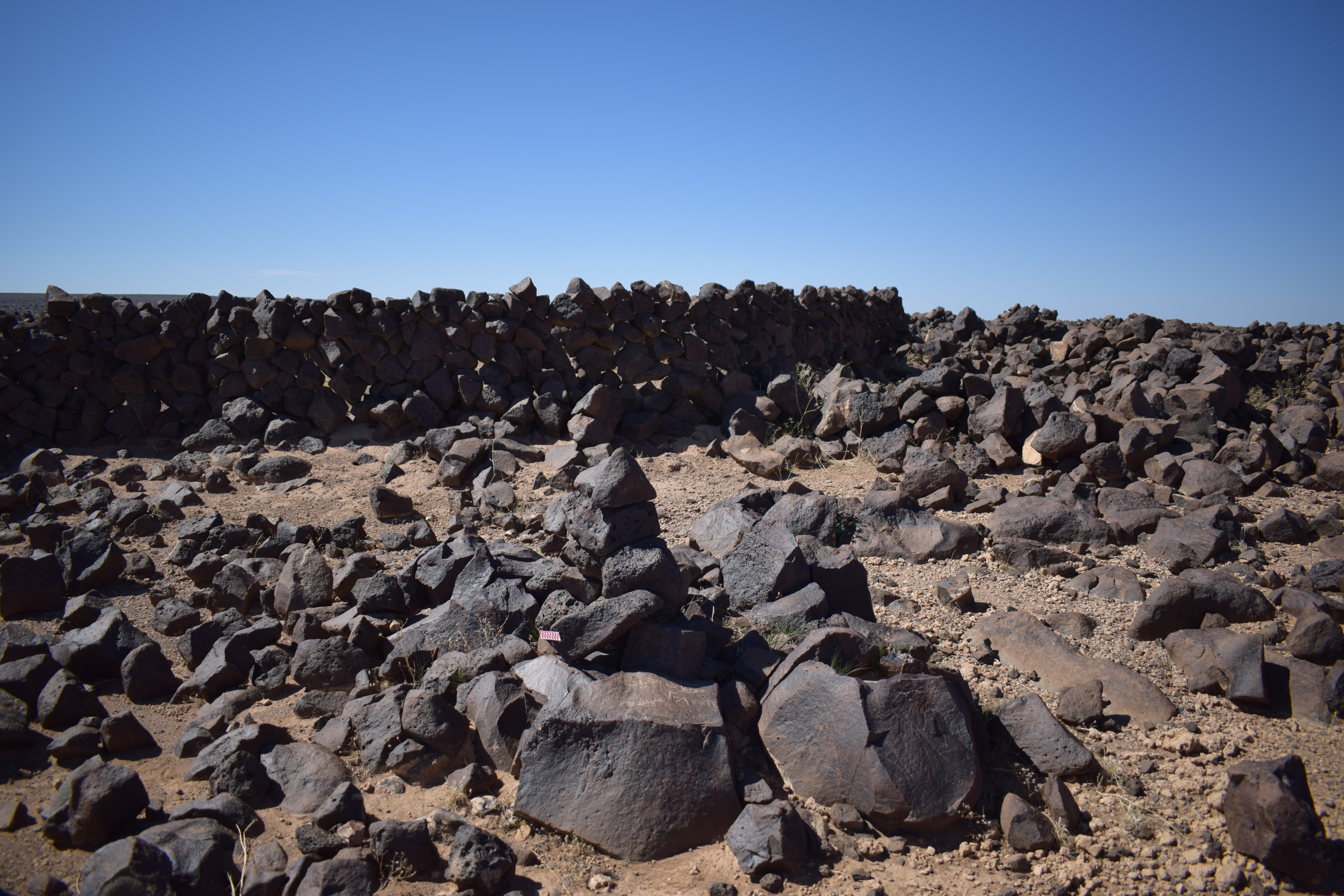 Image of siglum BES20 1677