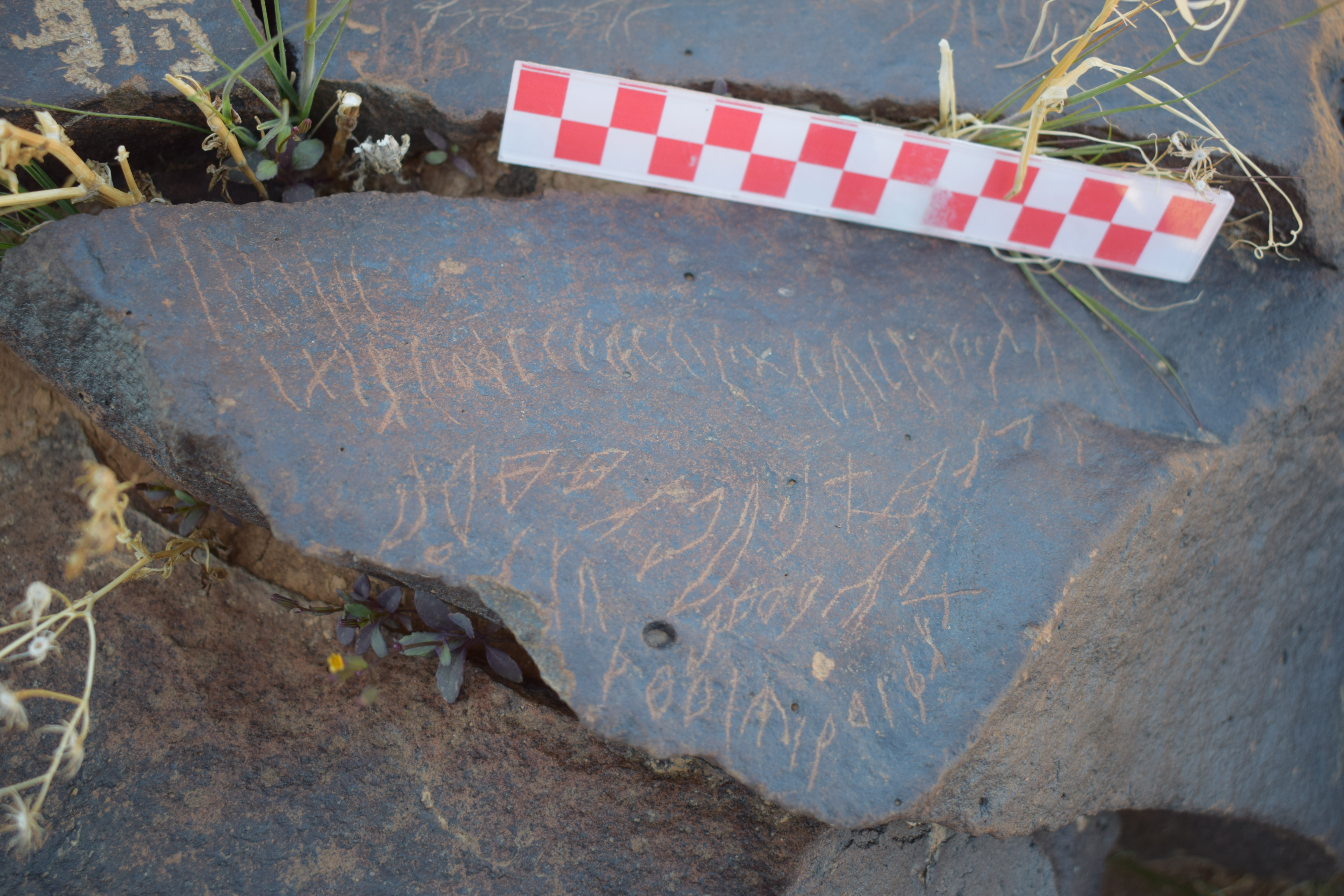 Image of siglum BES20 1678