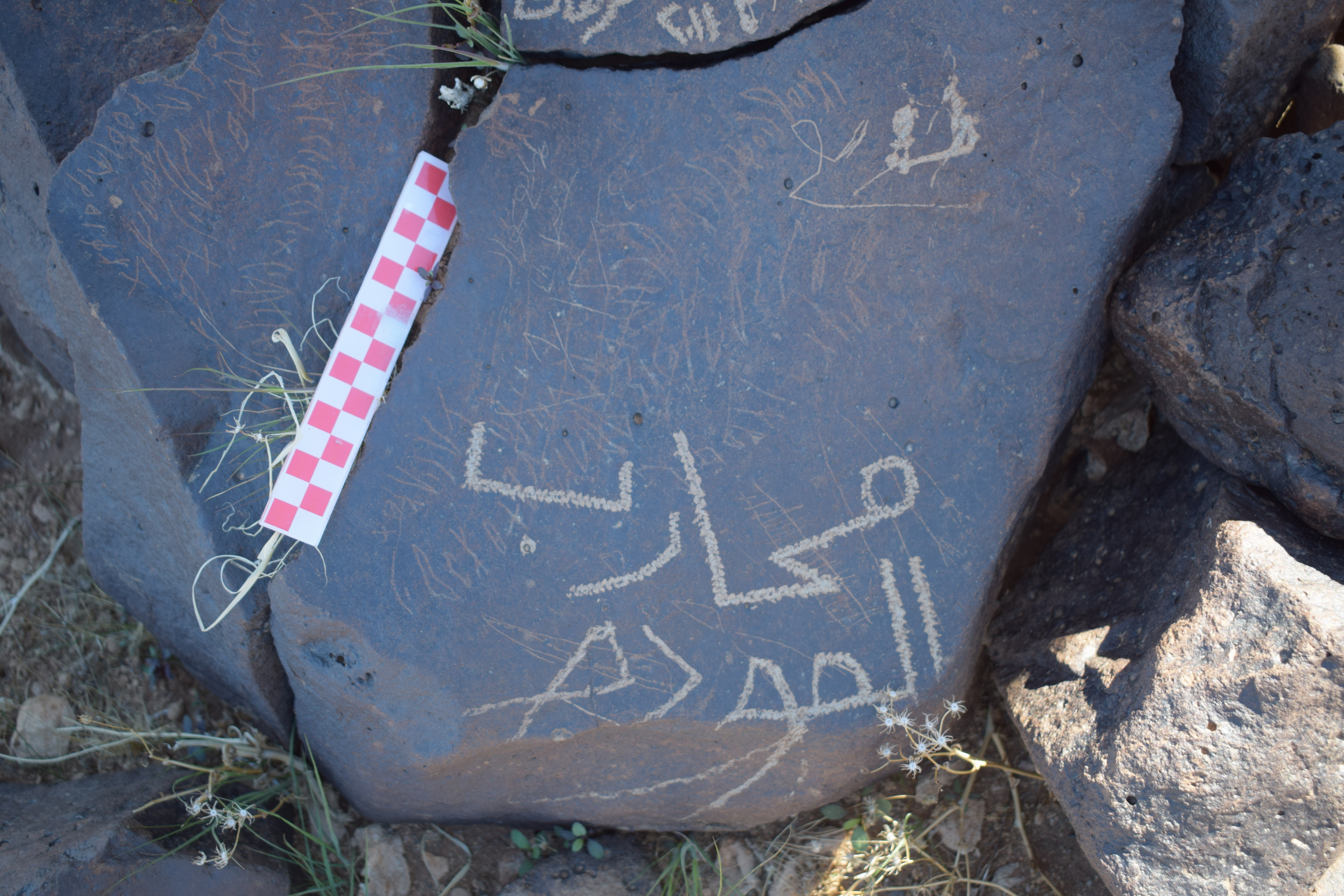 Image of siglum BES20 1679