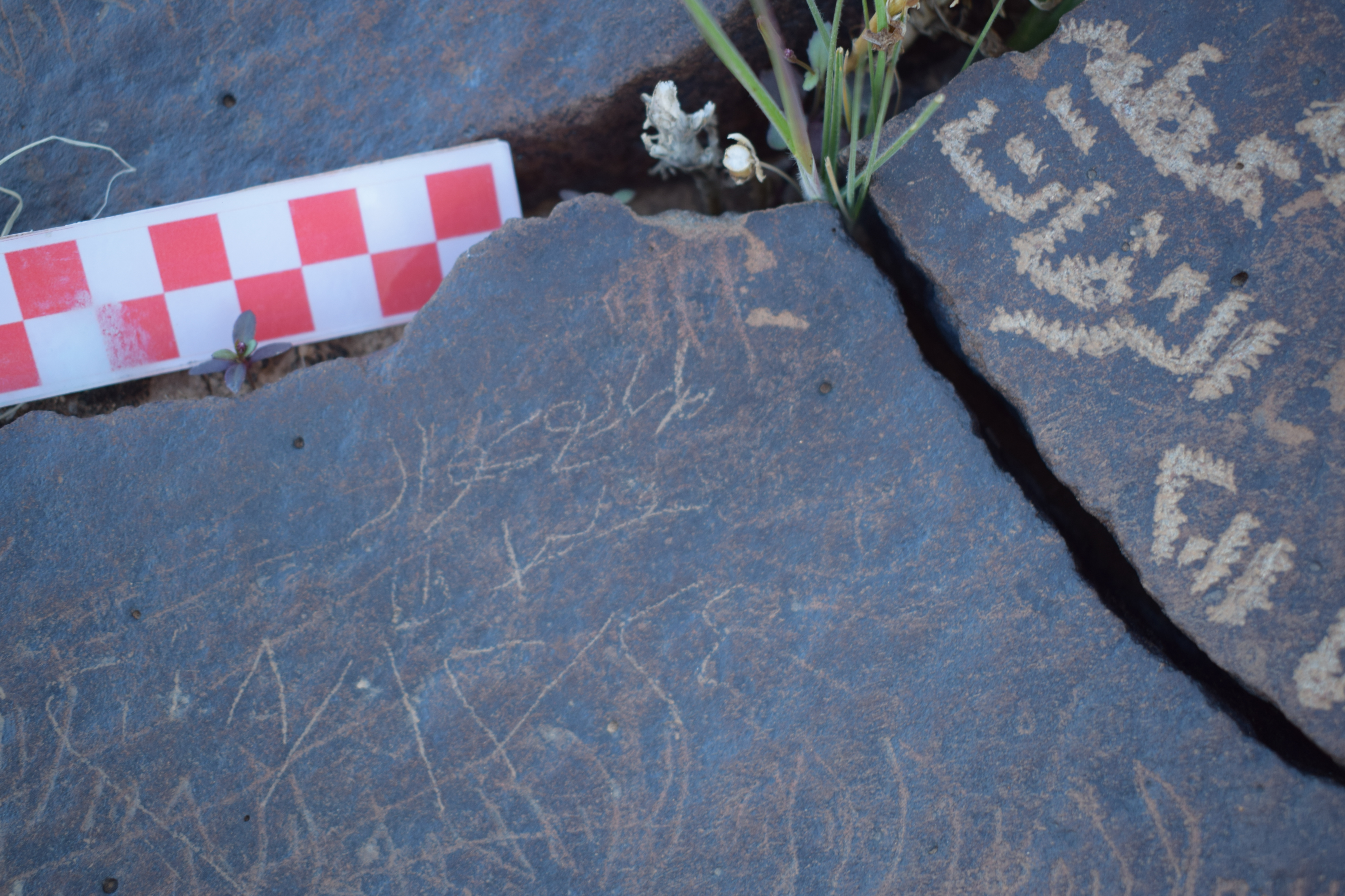 Image of siglum BES20 1679