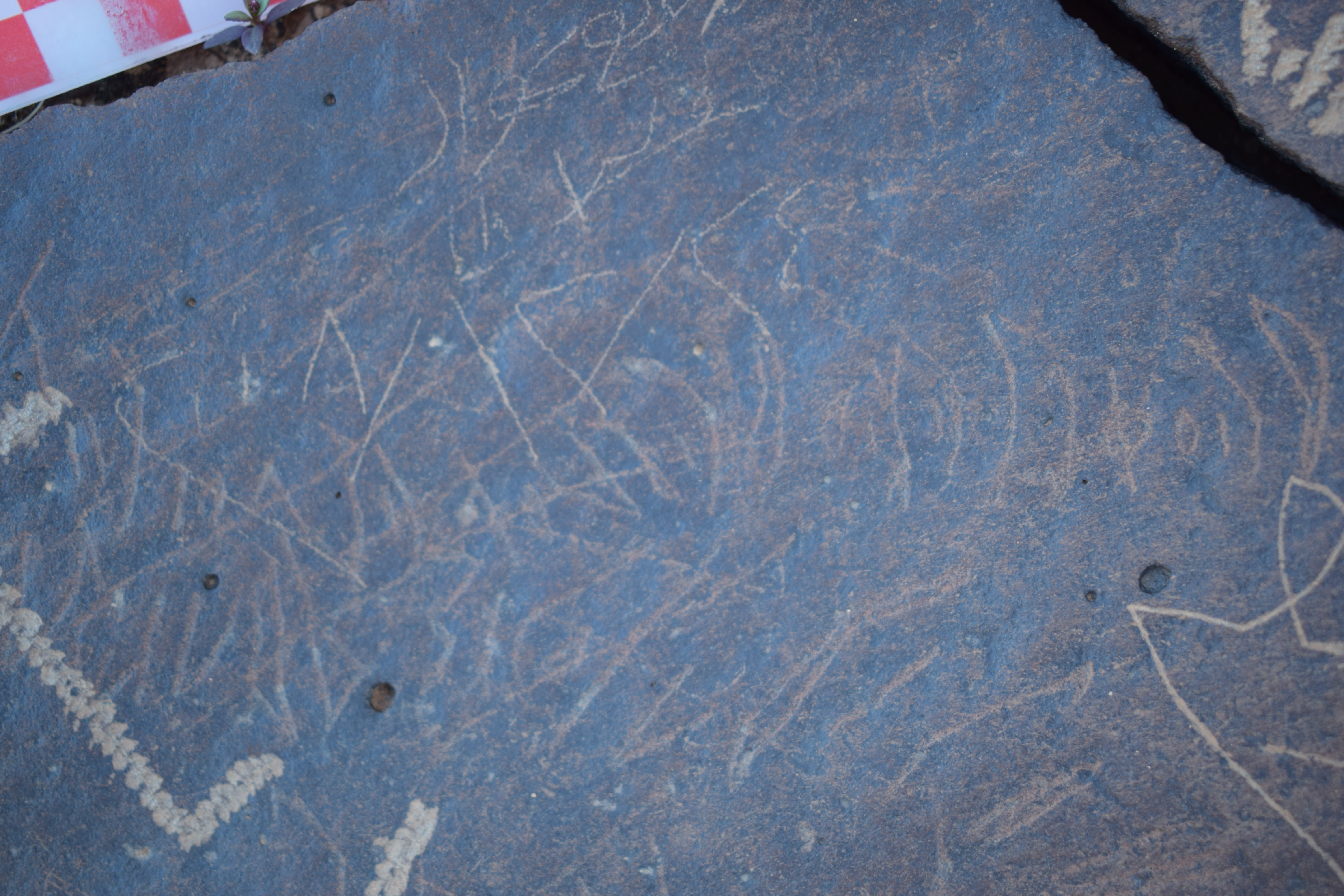 Image of siglum BES20 1679