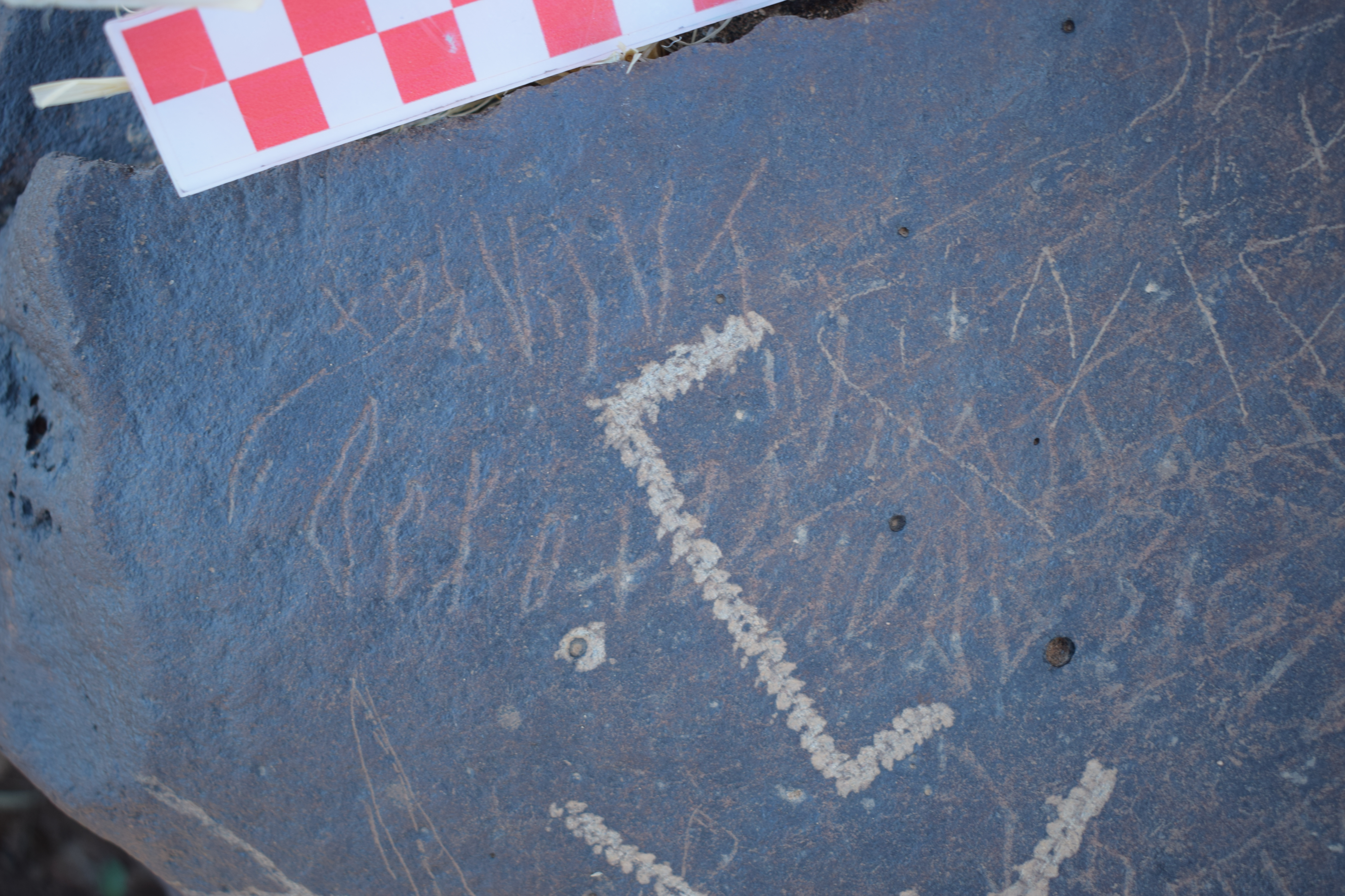 Image of siglum BES20 1679