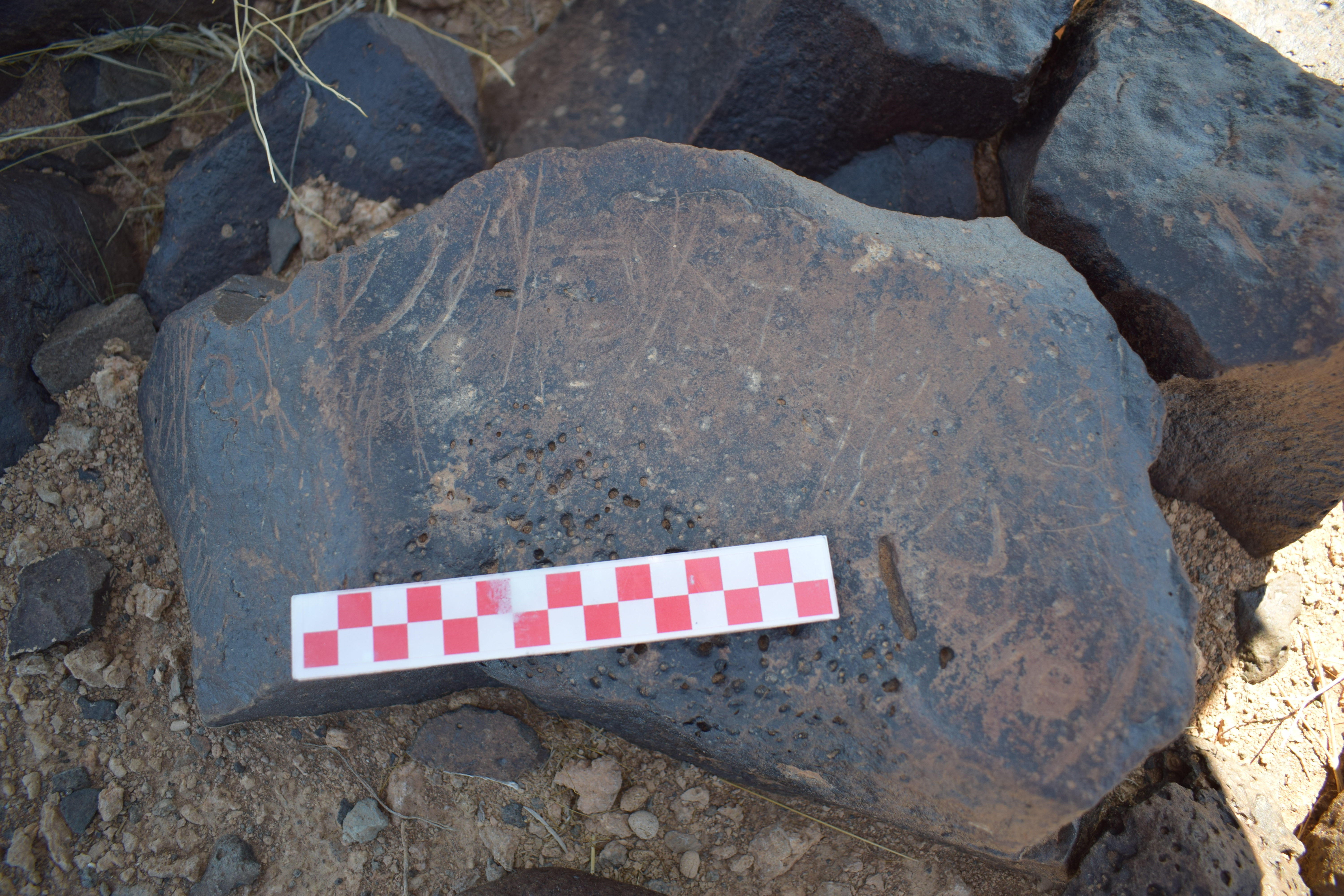 Image of siglum BES20 1681