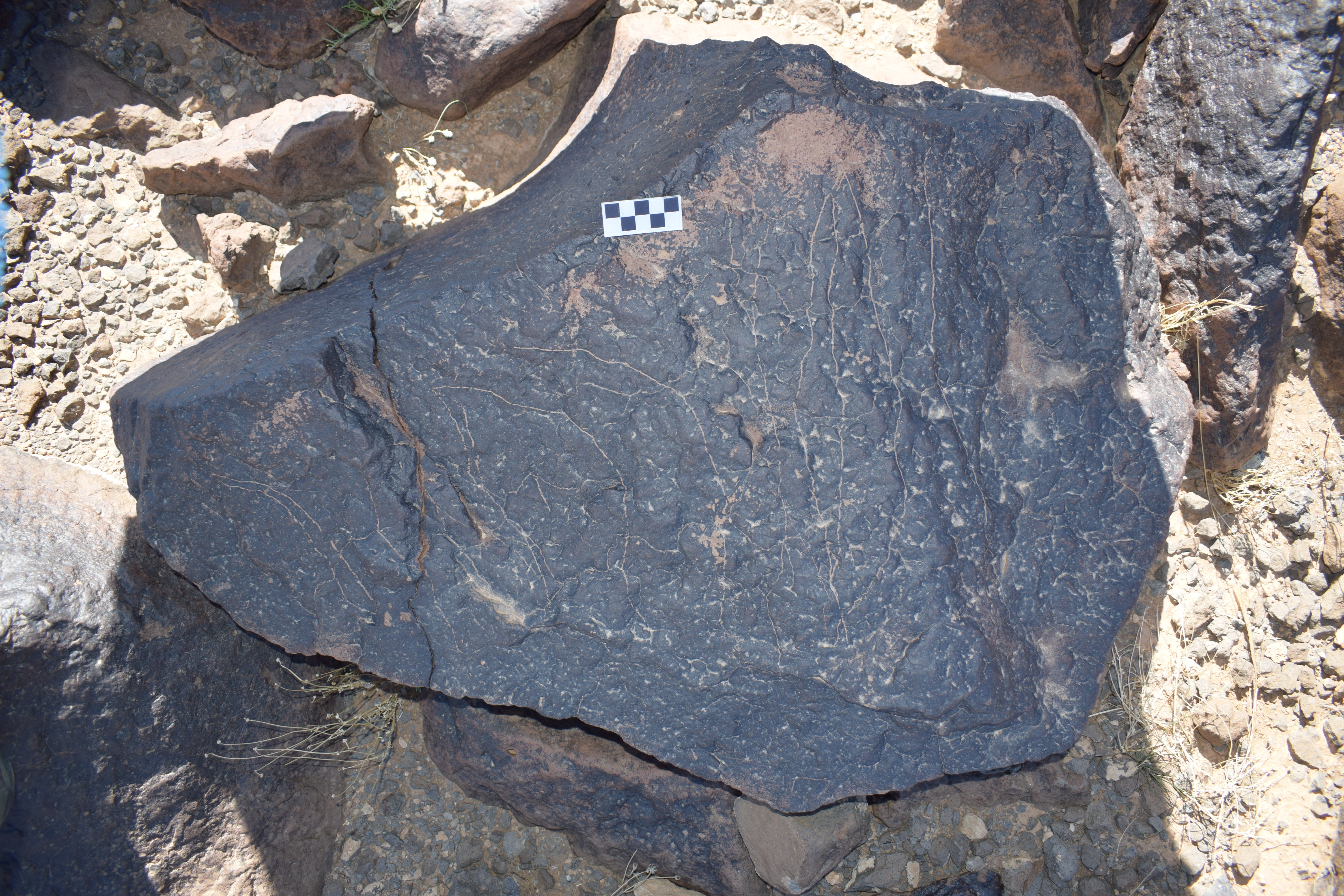 Image of siglum BES20 1682