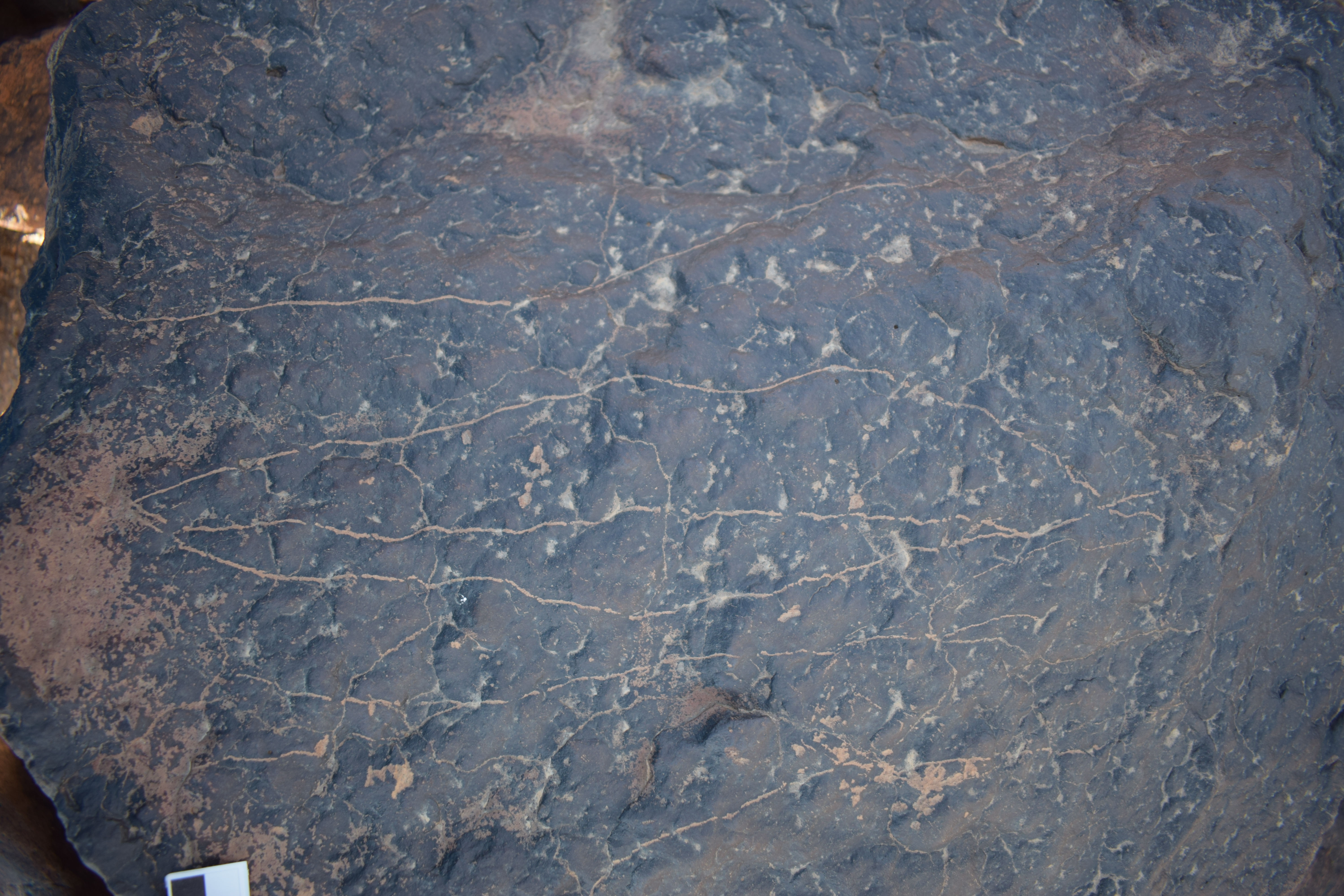 Image of siglum BES20 1682