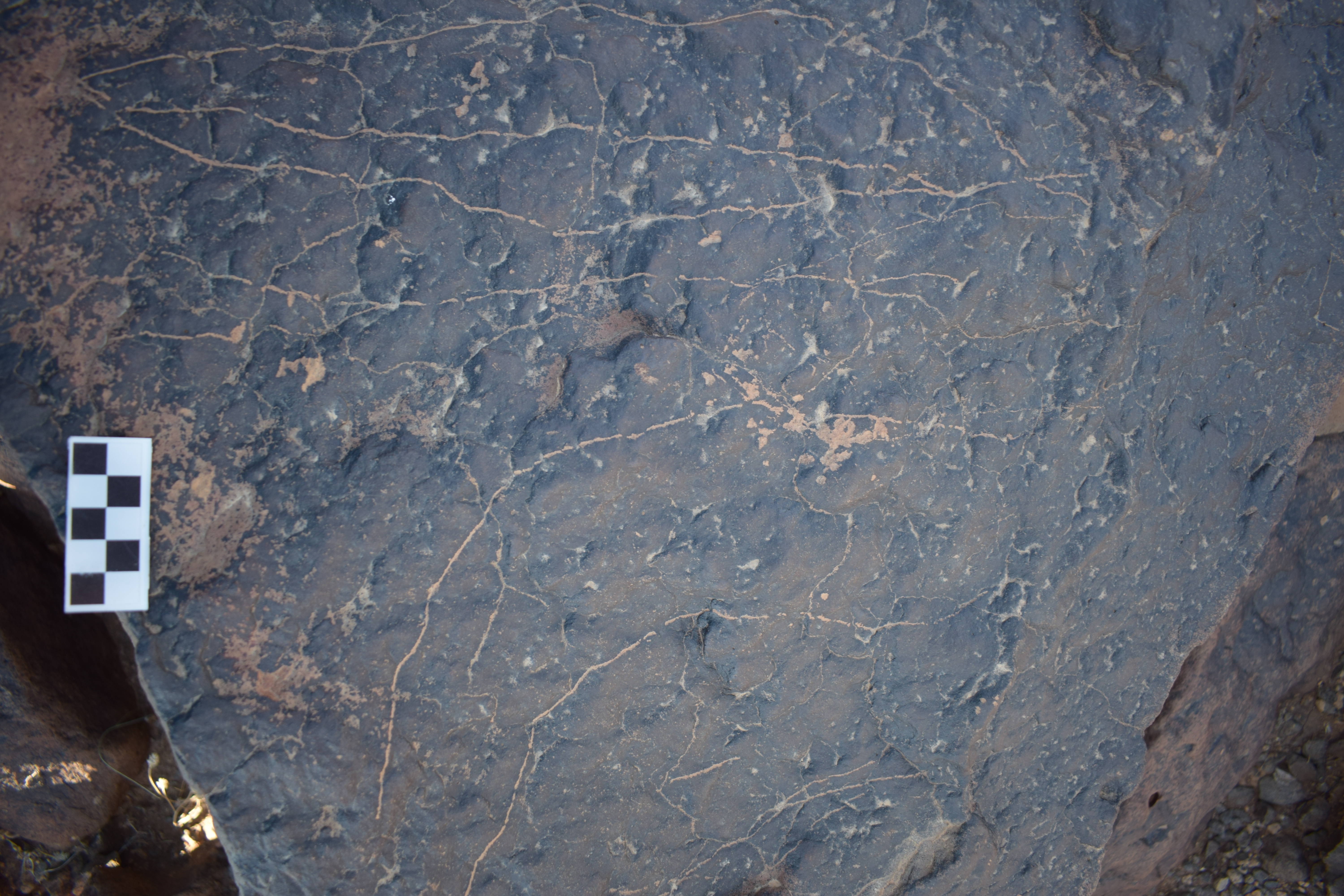 Image of siglum BES20 1682