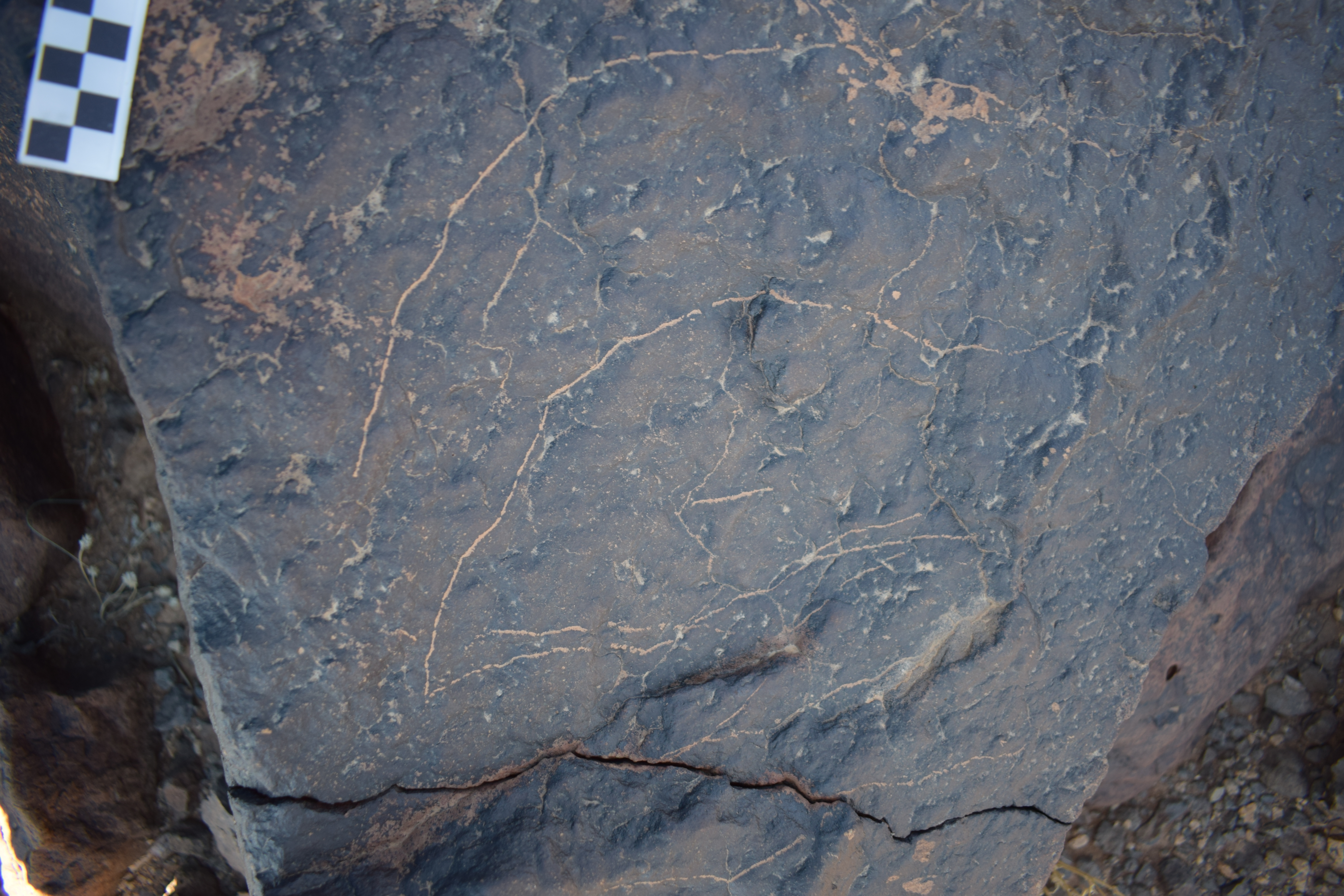 Image of siglum BES20 1682