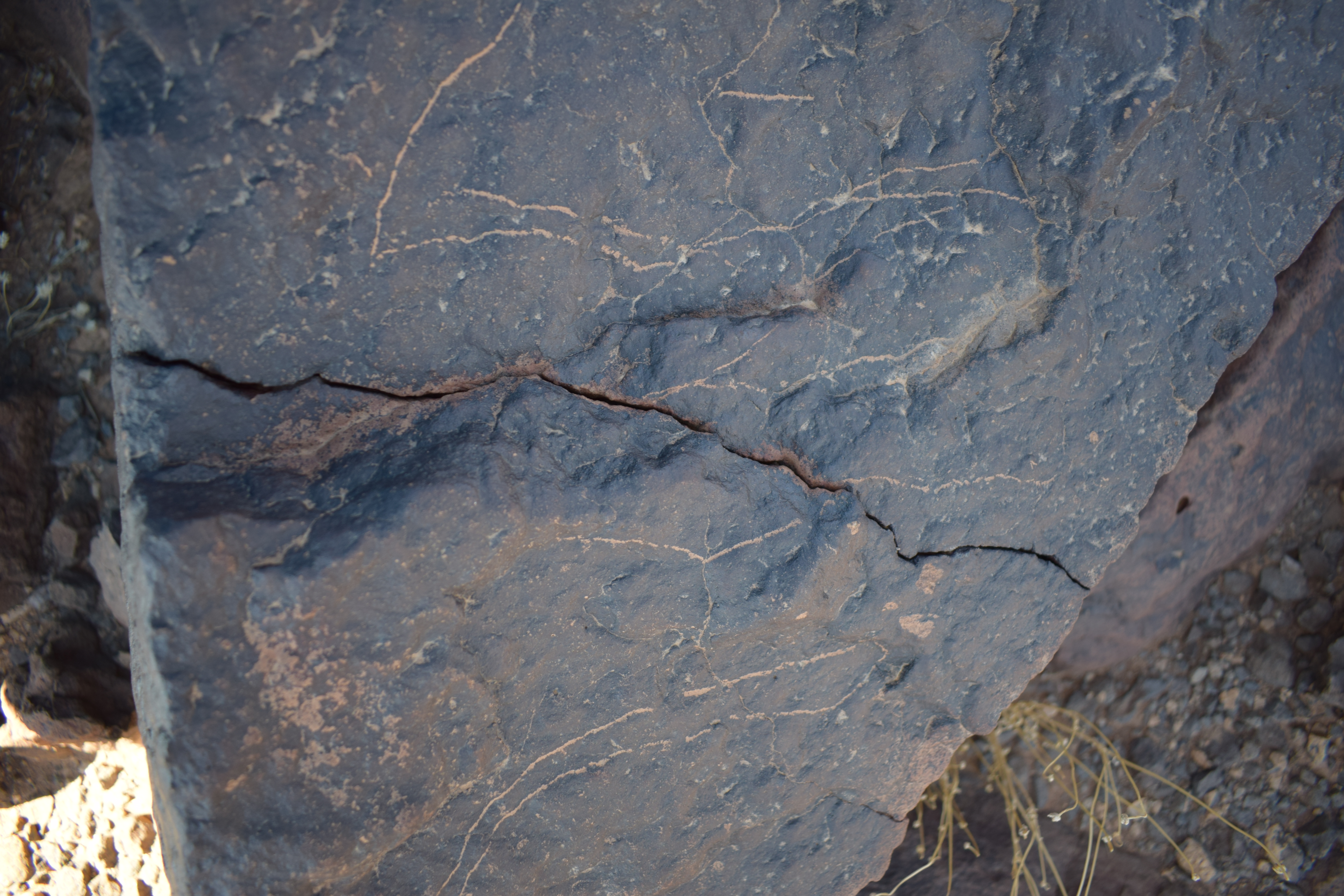 Image of siglum BES20 1682