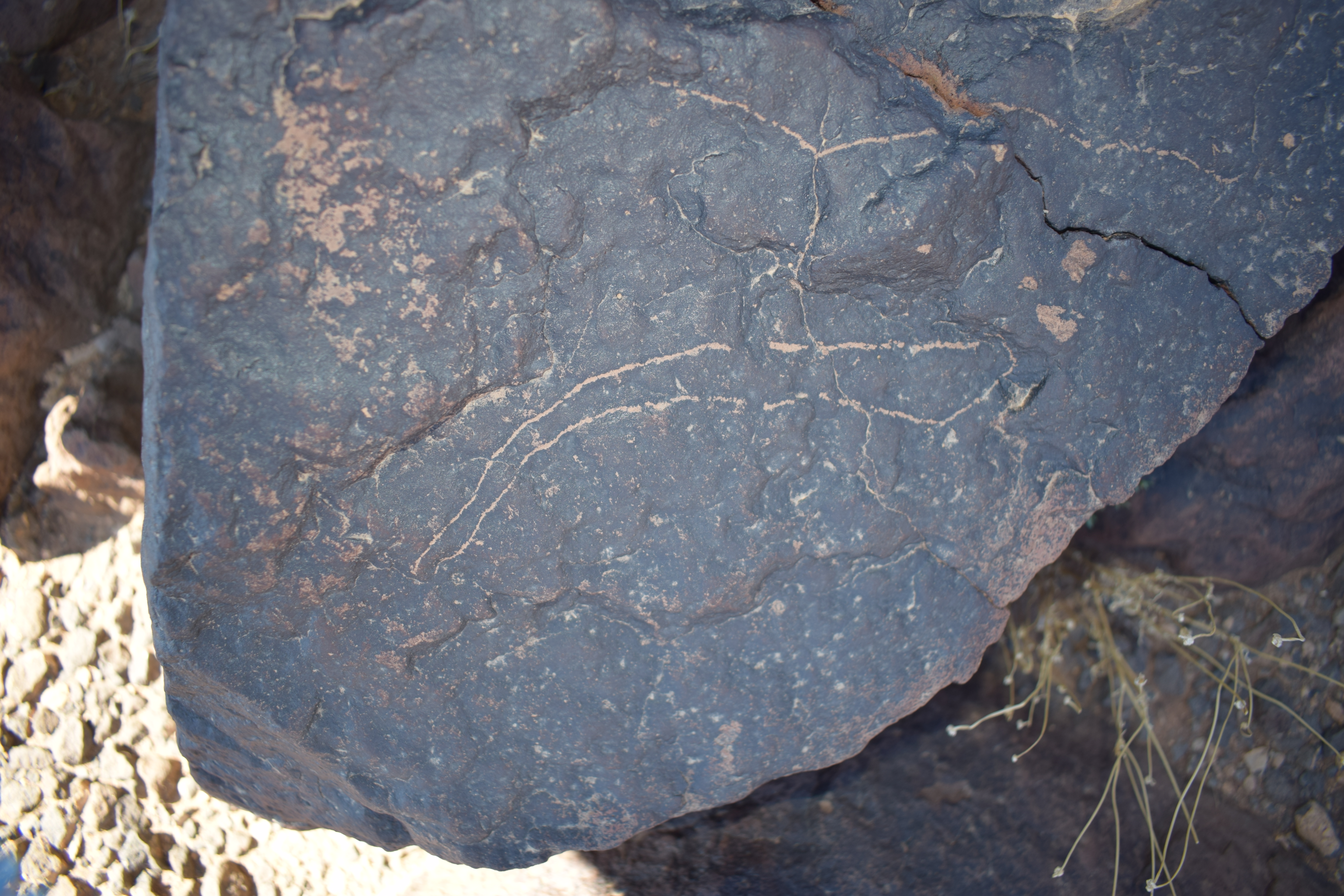 Image of siglum BES20 1682