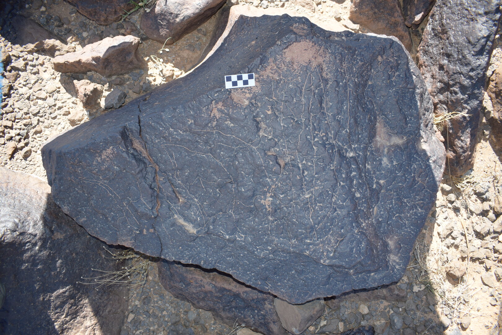 Image of siglum BES20 1682