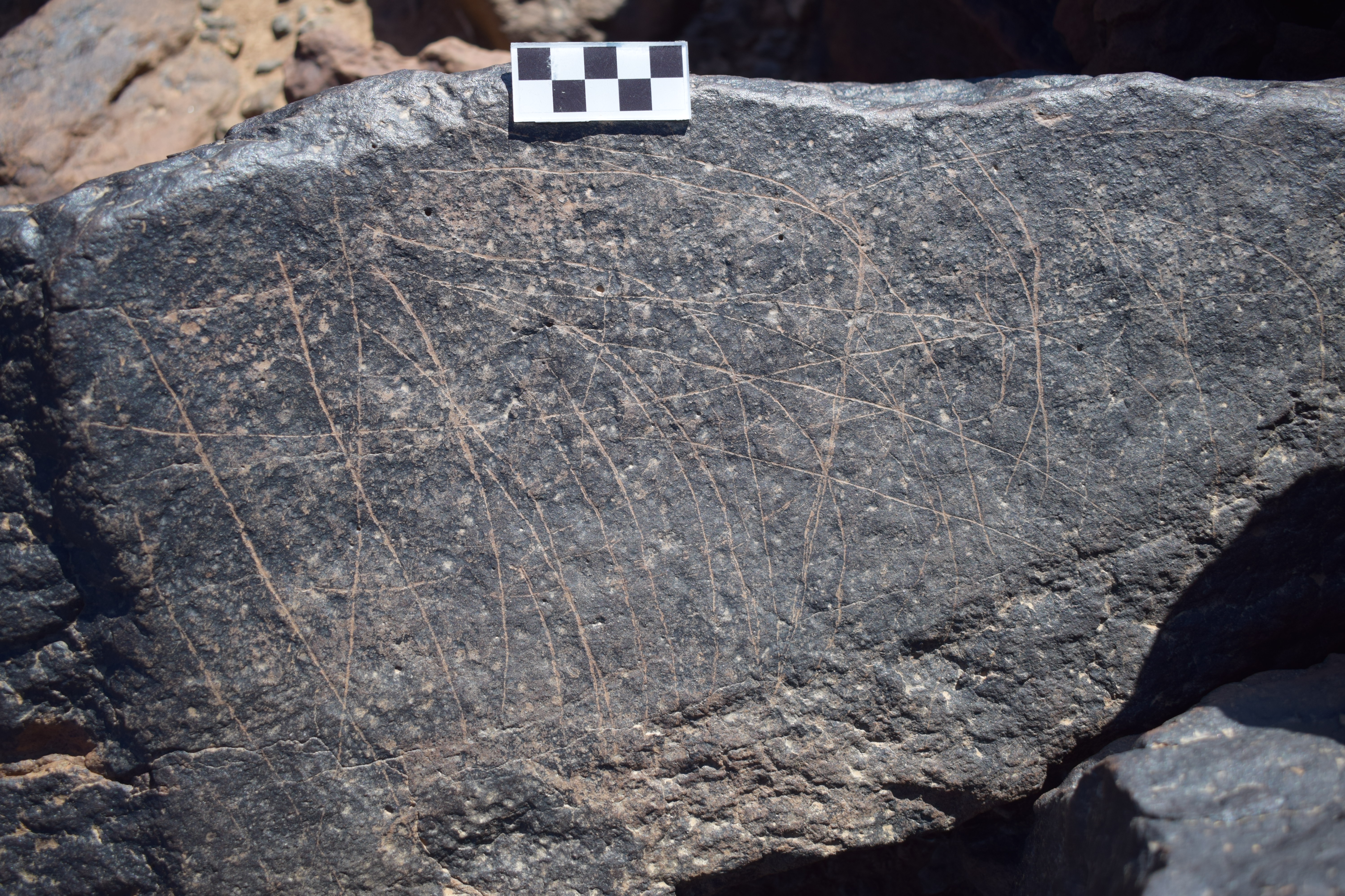 Image of siglum BES20 1683