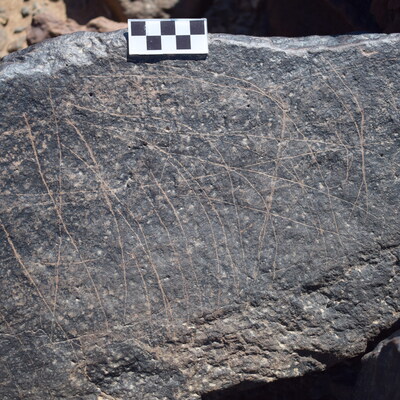 Image of siglum BES20 1683