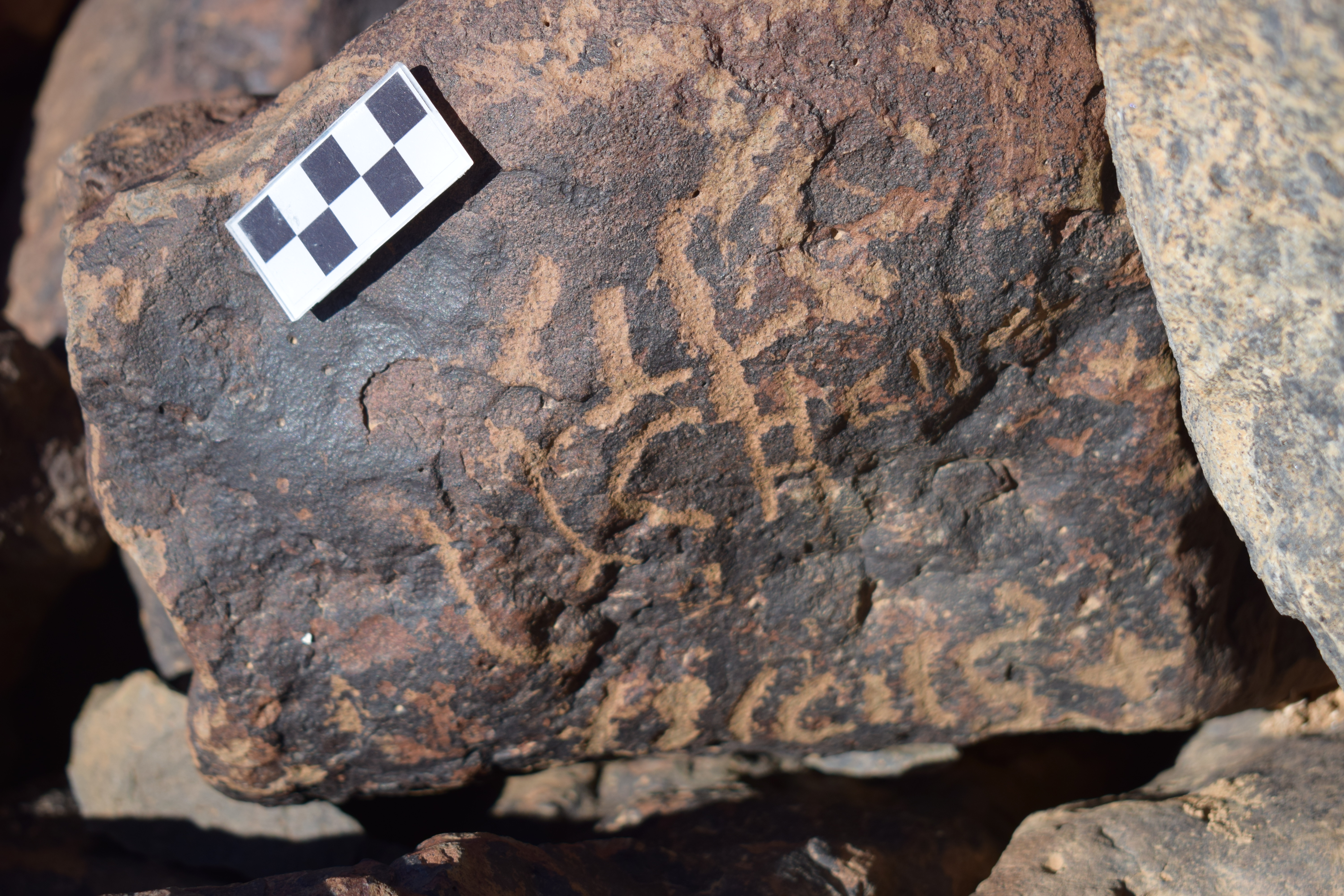 Image of siglum BES20 1684