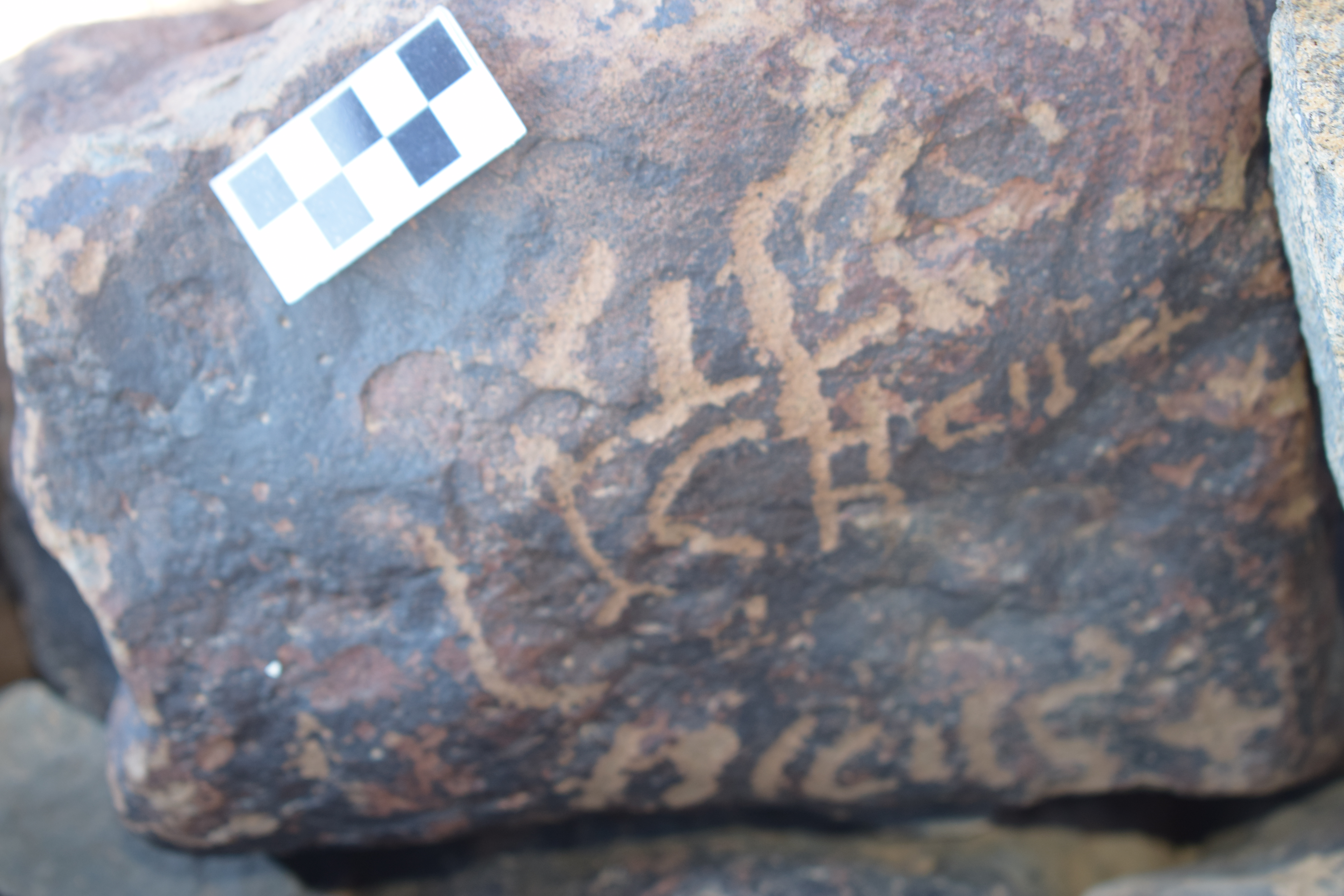 Image of siglum BES20 1685