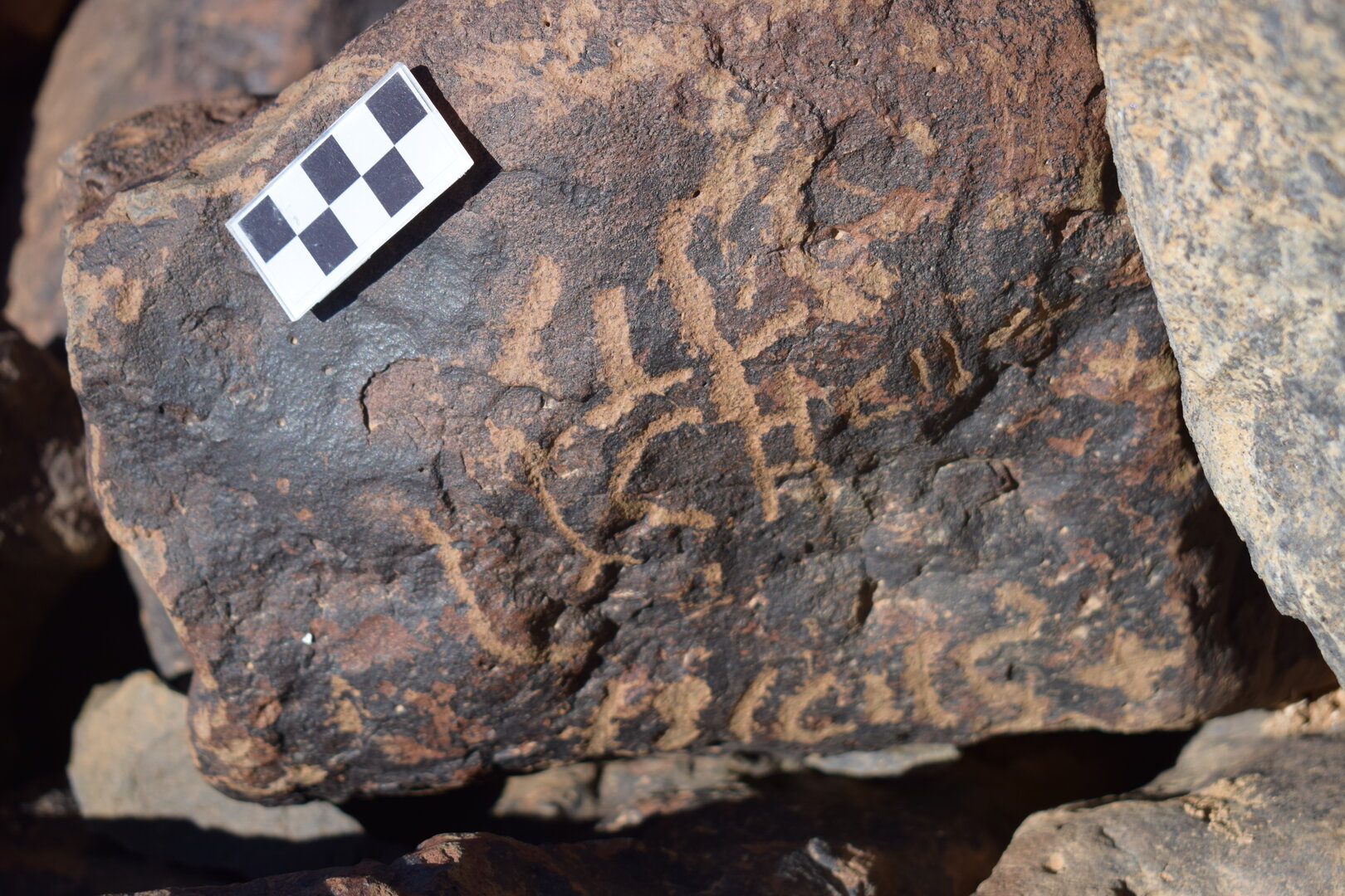 Image of siglum BES20 1685