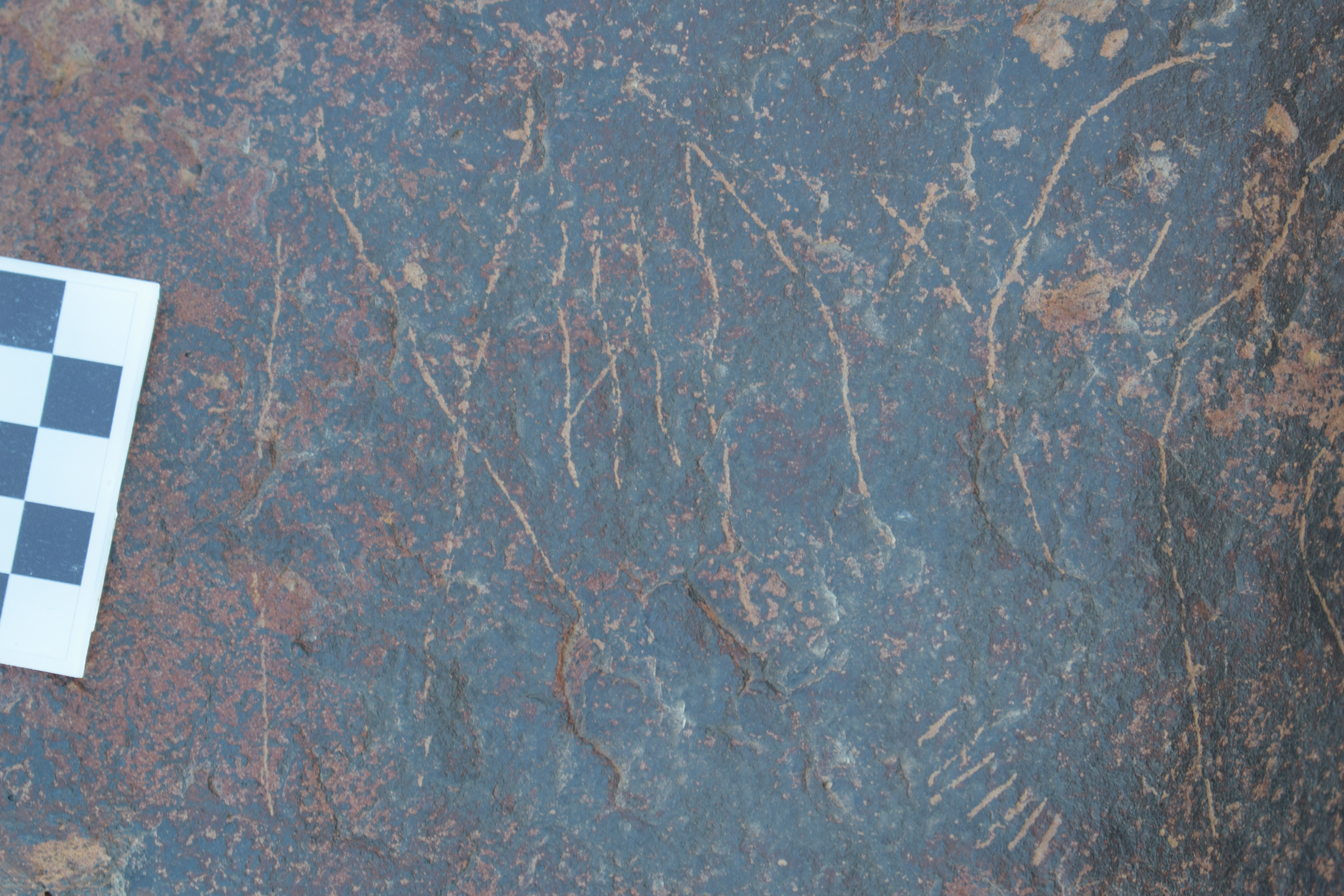 Image of siglum BES20 1690